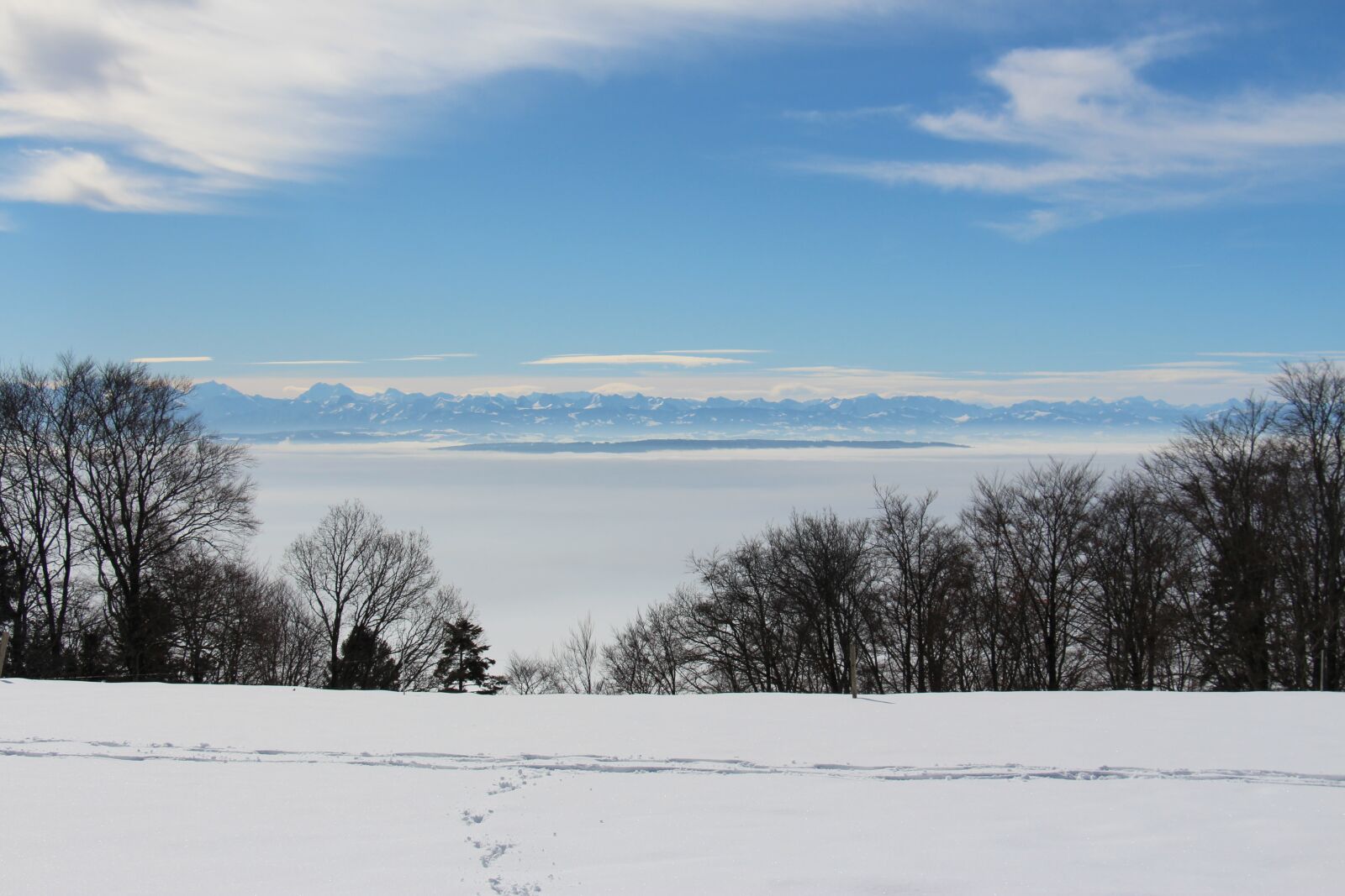 Canon EOS 700D (EOS Rebel T5i / EOS Kiss X7i) sample photo. Winter, snow, landscape photography
