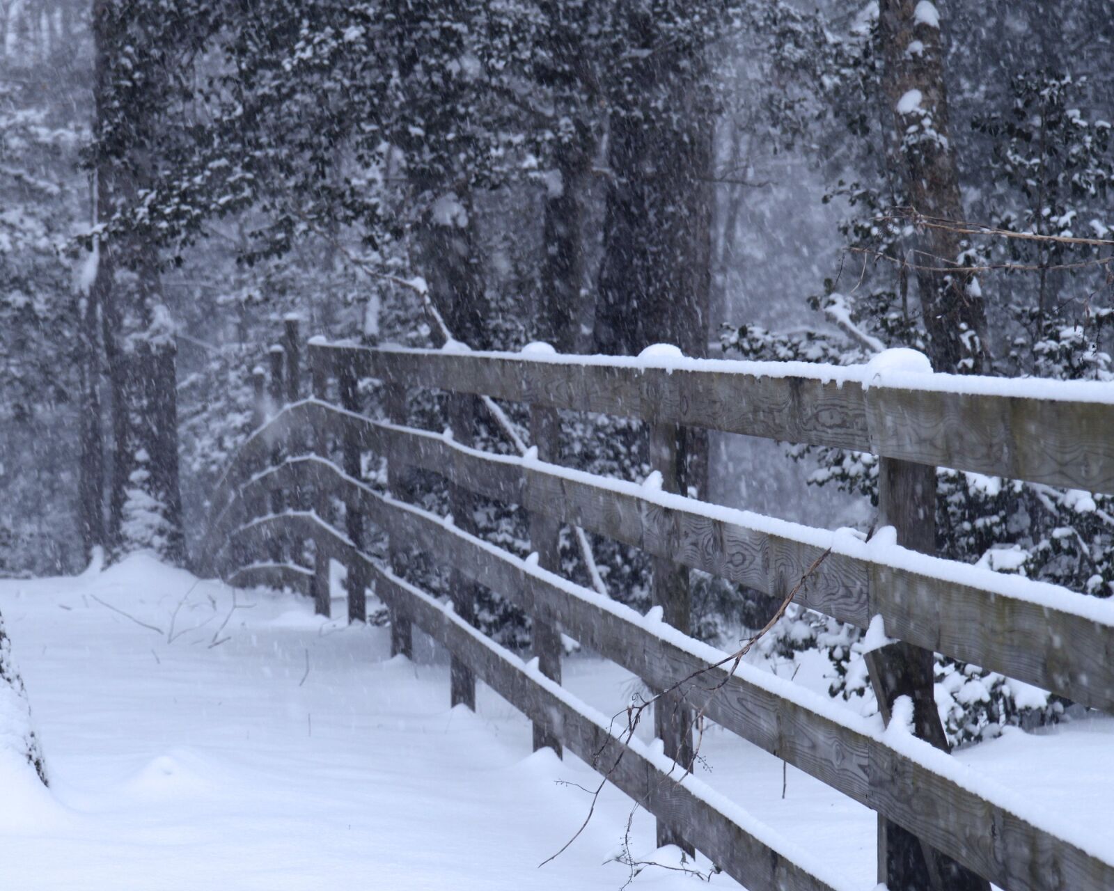 Canon EOS 500D (EOS Rebel T1i / EOS Kiss X3) sample photo. Winter, snow, landscape photography