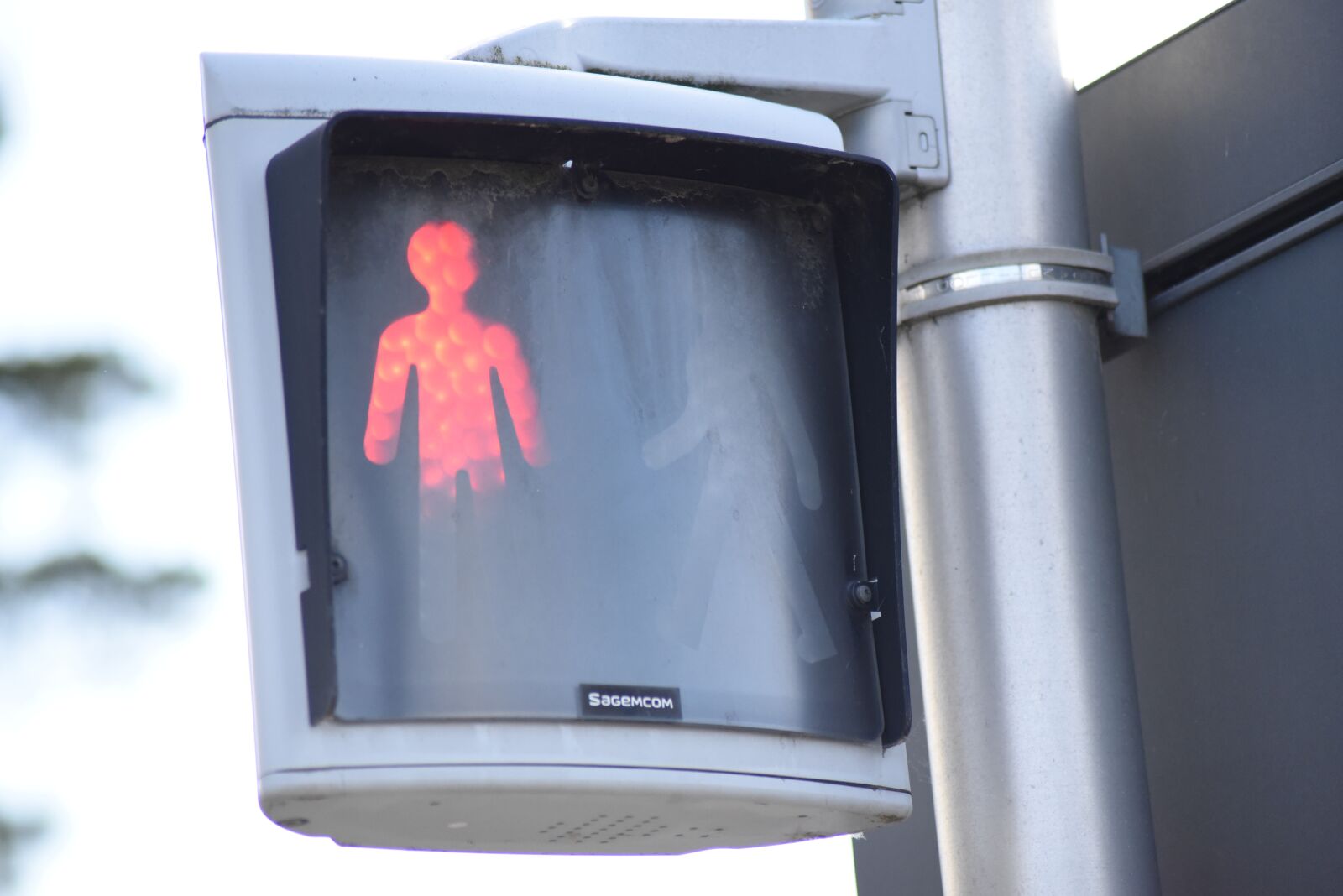 Nikon D750 sample photo. Red man, little red photography