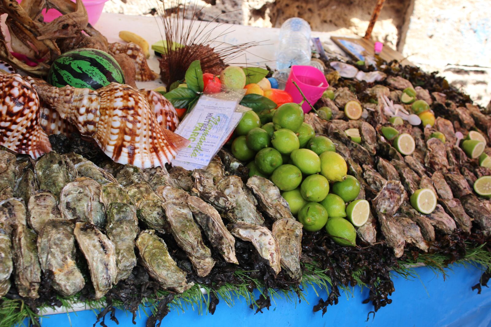 Canon EOS 600D (Rebel EOS T3i / EOS Kiss X5) sample photo. Essaouira, sea, market photography