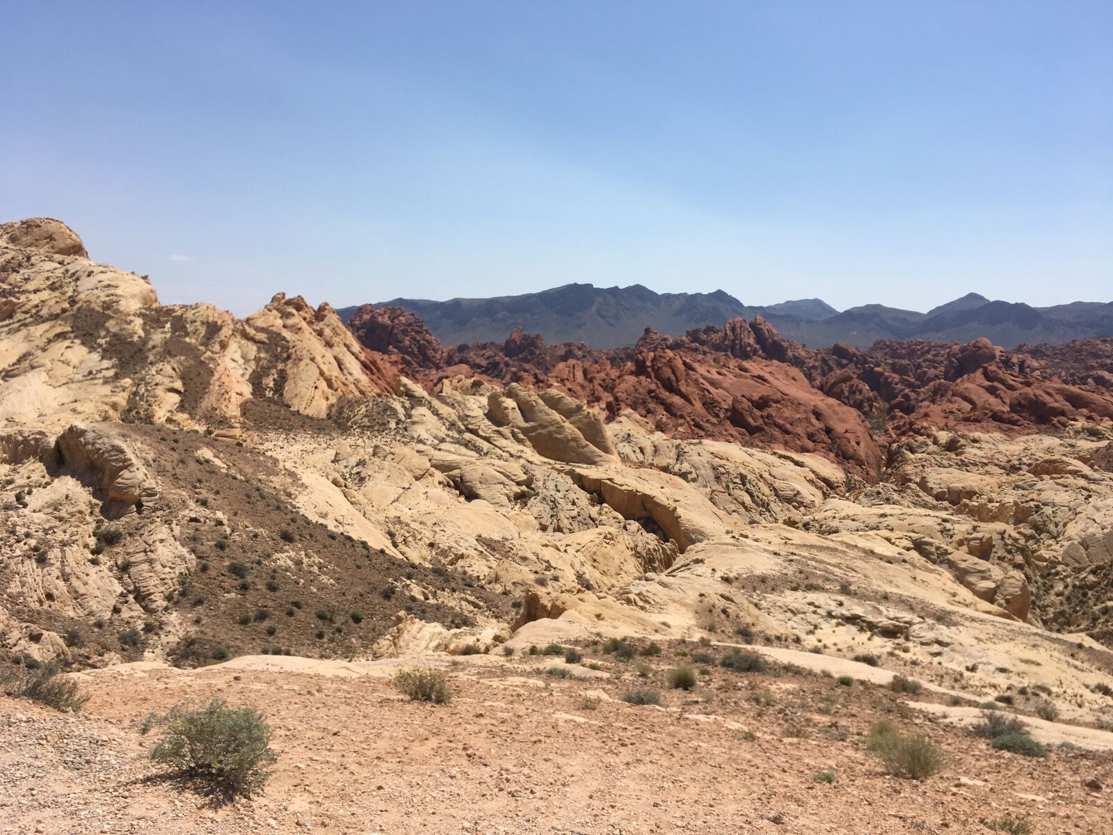 iPhone SE back camera 4.15mm f/2.2 sample photo. Desert, landscape, nature photography
