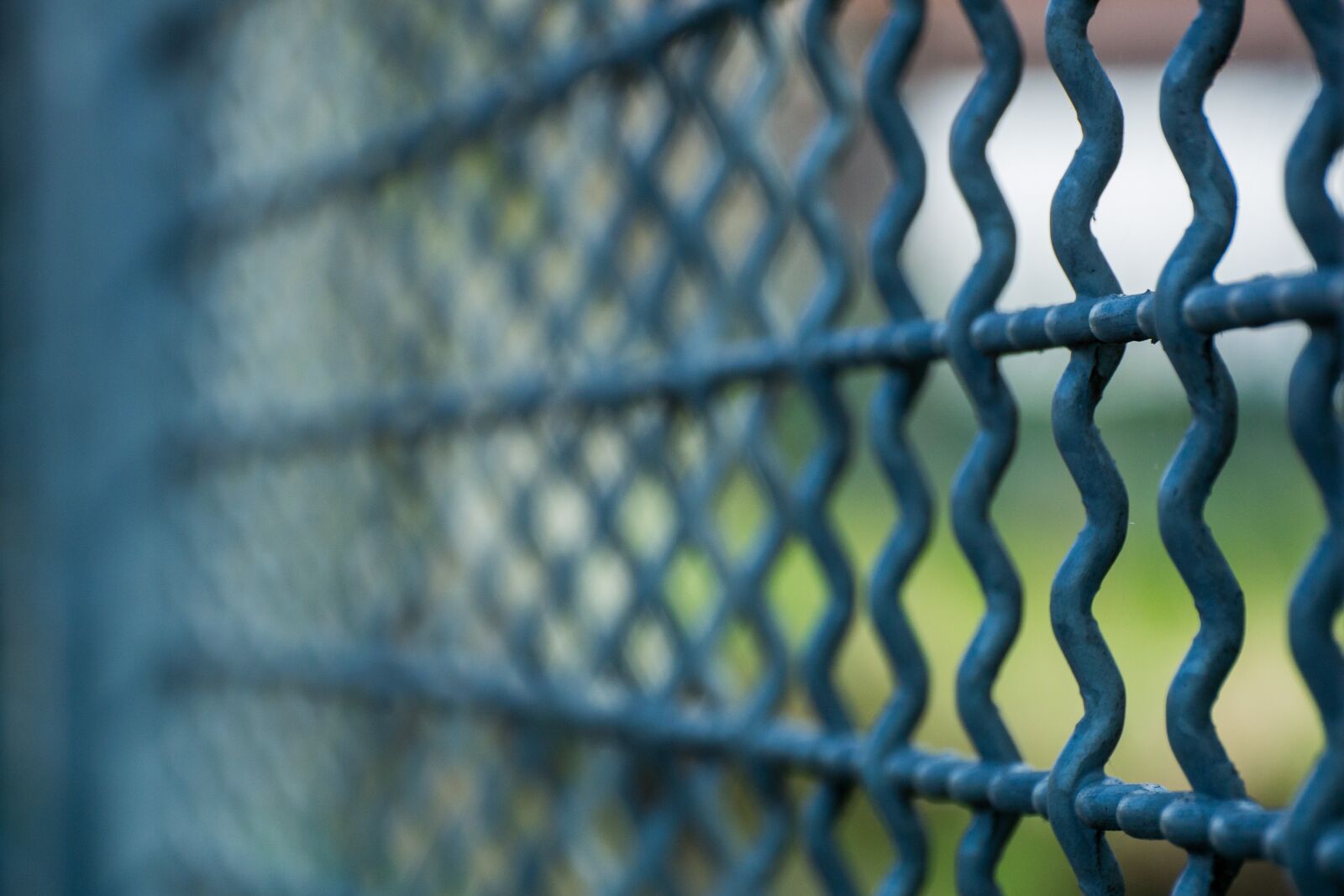 Nikon 1 V2 sample photo. Grid, fence, imprisoned photography