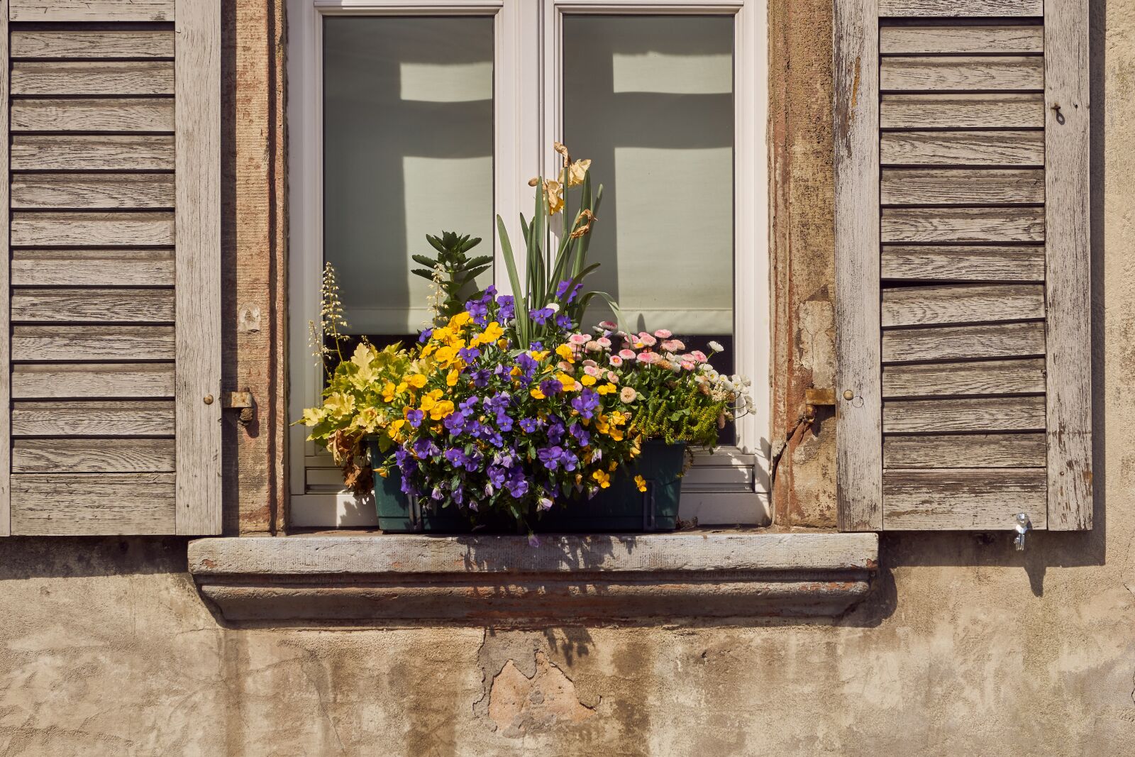 Sony E 55-210mm F4.5-6.3 OSS sample photo. Window, flowers, shutter photography