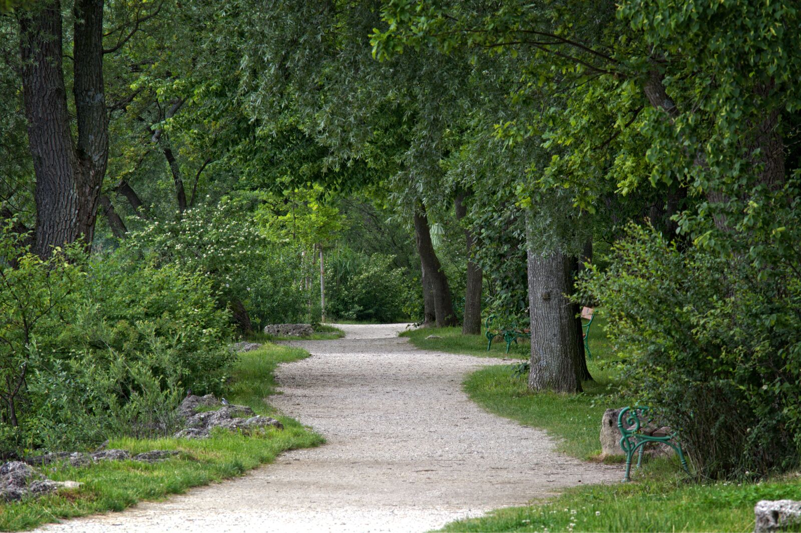 55.0-200.0mm f/4.0-f/5.6 sample photo. Gravel road, away, nature photography