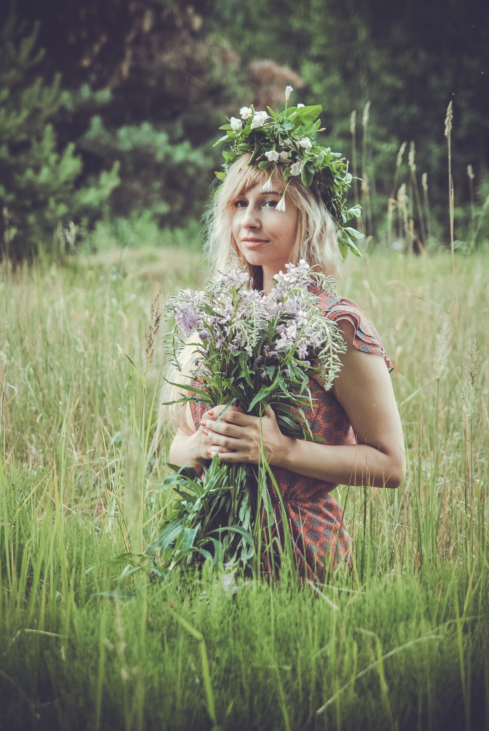 Nikon D3000 sample photo. Field, flowers, girl photography