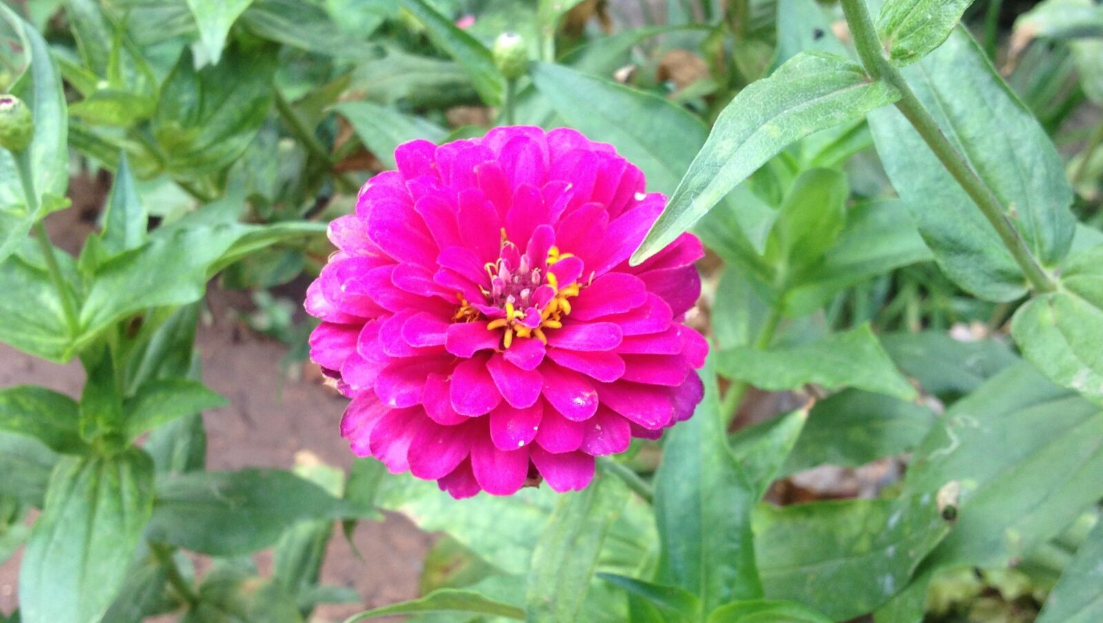 Apple iPhone 4S sample photo