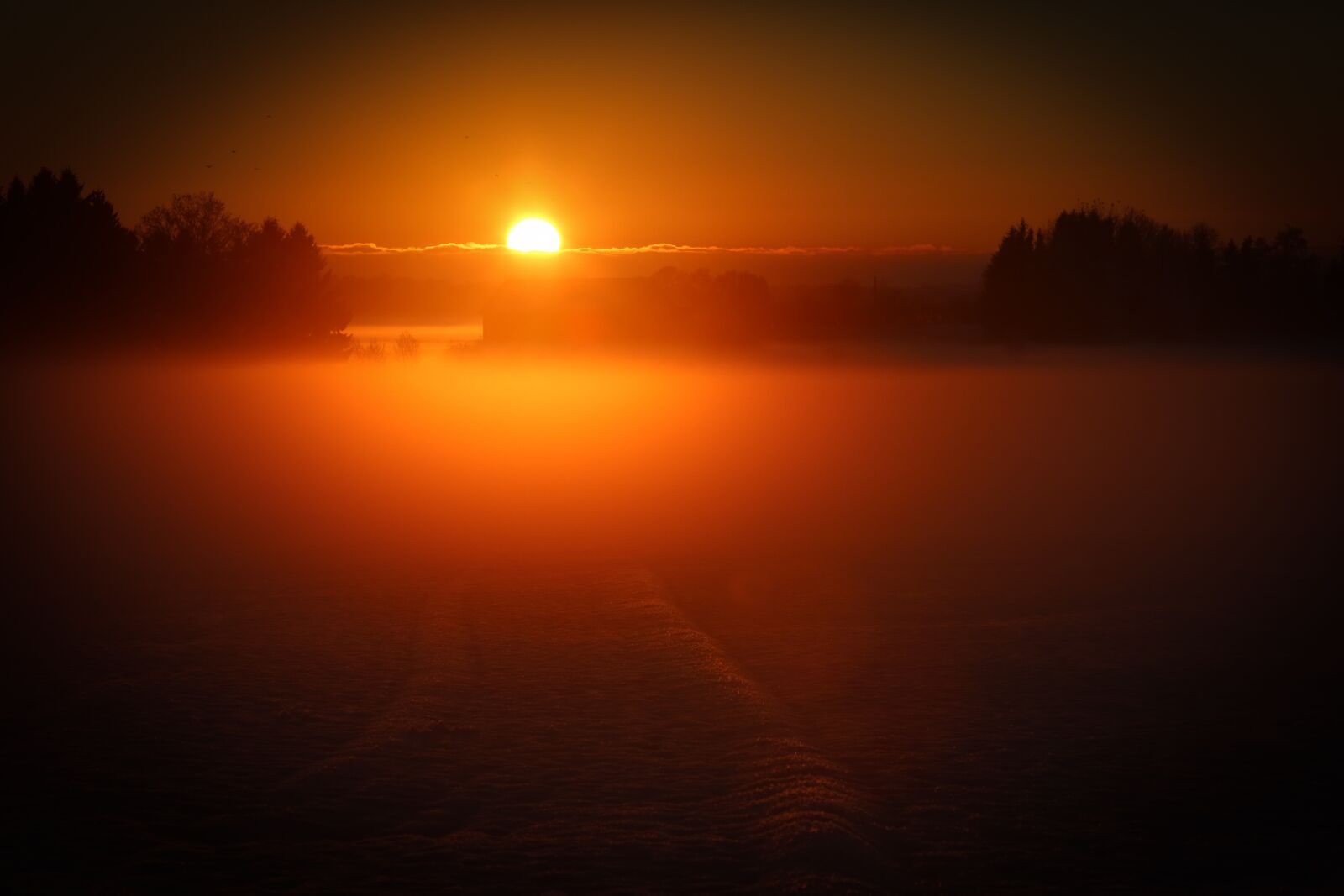 Canon EF 70-200mm F2.8L USM sample photo. Solar, sunset, winter photography