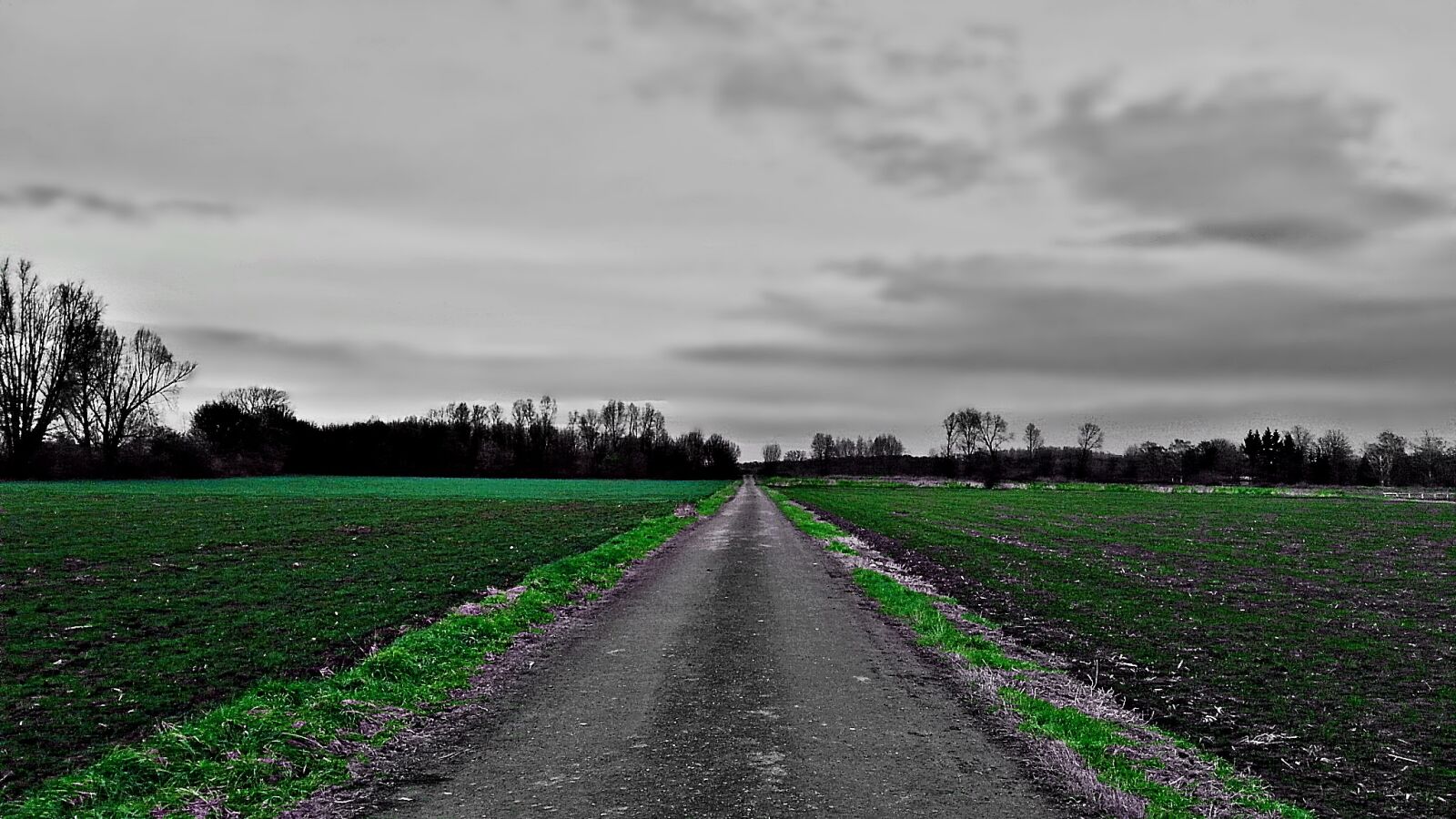 Samsung Galaxy S3 sample photo. Field, gloomily, grass photography