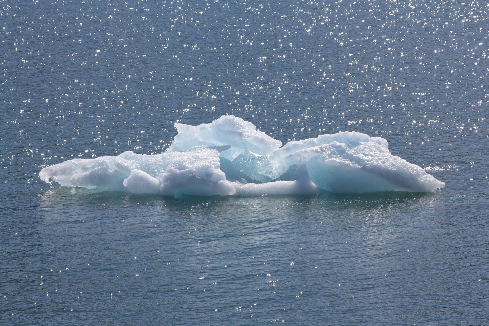 Canon EOS 1000D (EOS Digital Rebel XS / EOS Kiss F) sample photo. Ice floe, sea, arctic photography