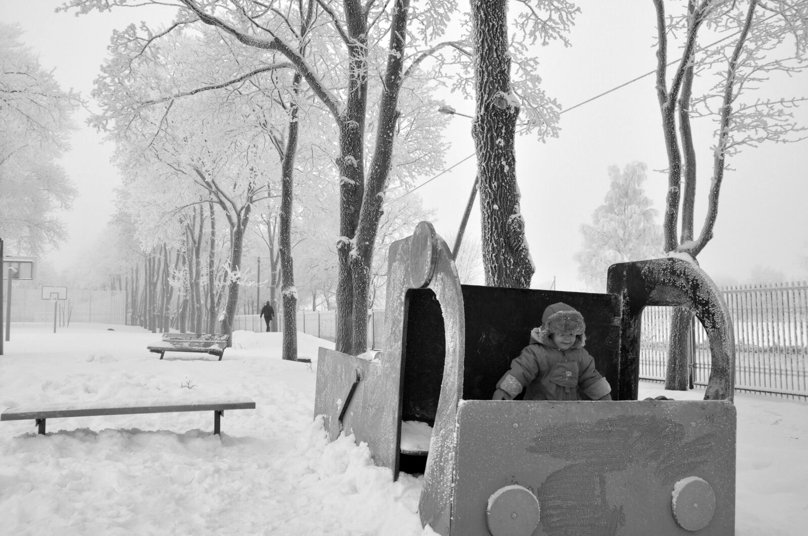 Nikon D90 sample photo. Winter, frost, snow photography
