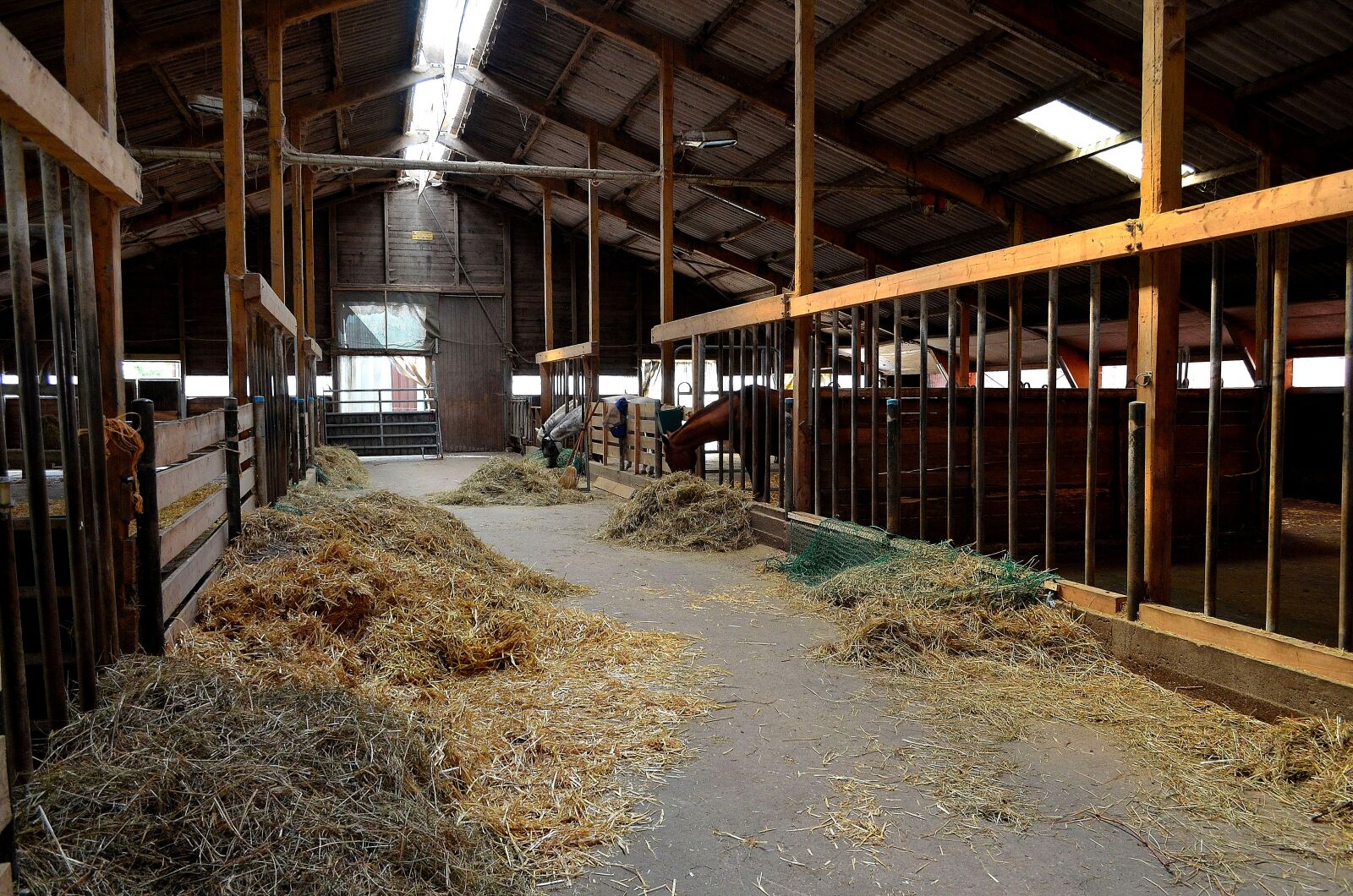 Nikon D5100 sample photo. Open stable, horse stable photography
