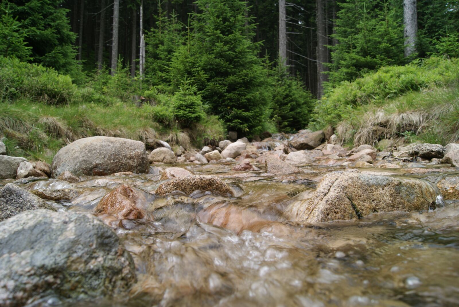 Sony Alpha DSLR-A330 sample photo. Brook, forest, mountains photography