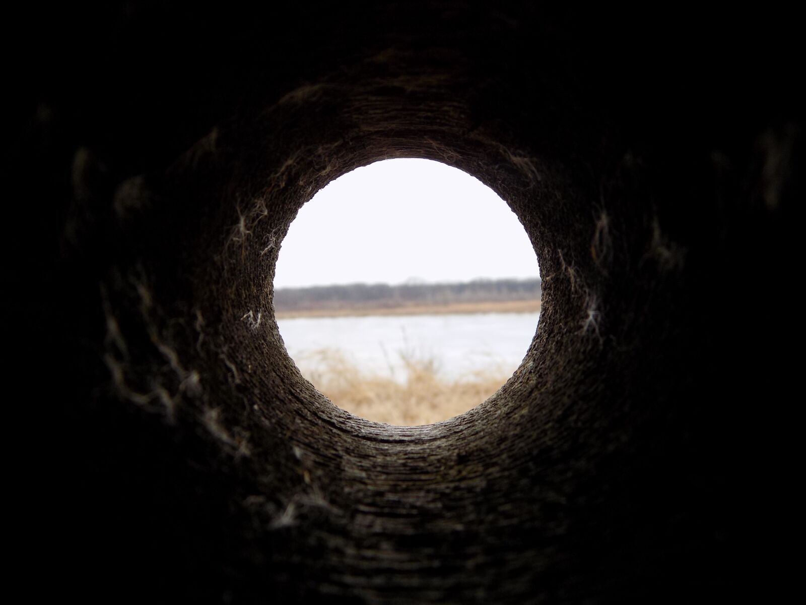 Nikon COOLPIX L340 sample photo. Dark, hole, wooden photography