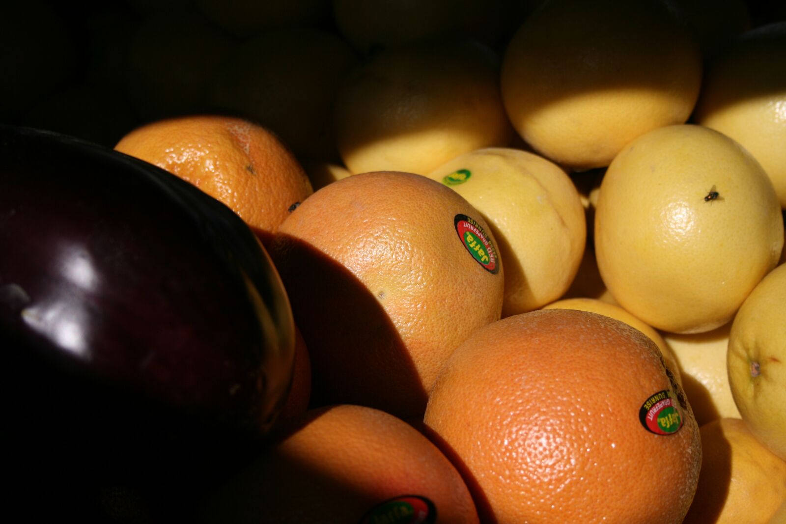 Canon EOS 400D (EOS Digital Rebel XTi / EOS Kiss Digital X) sample photo. Orange, eggplant, friuts photography
