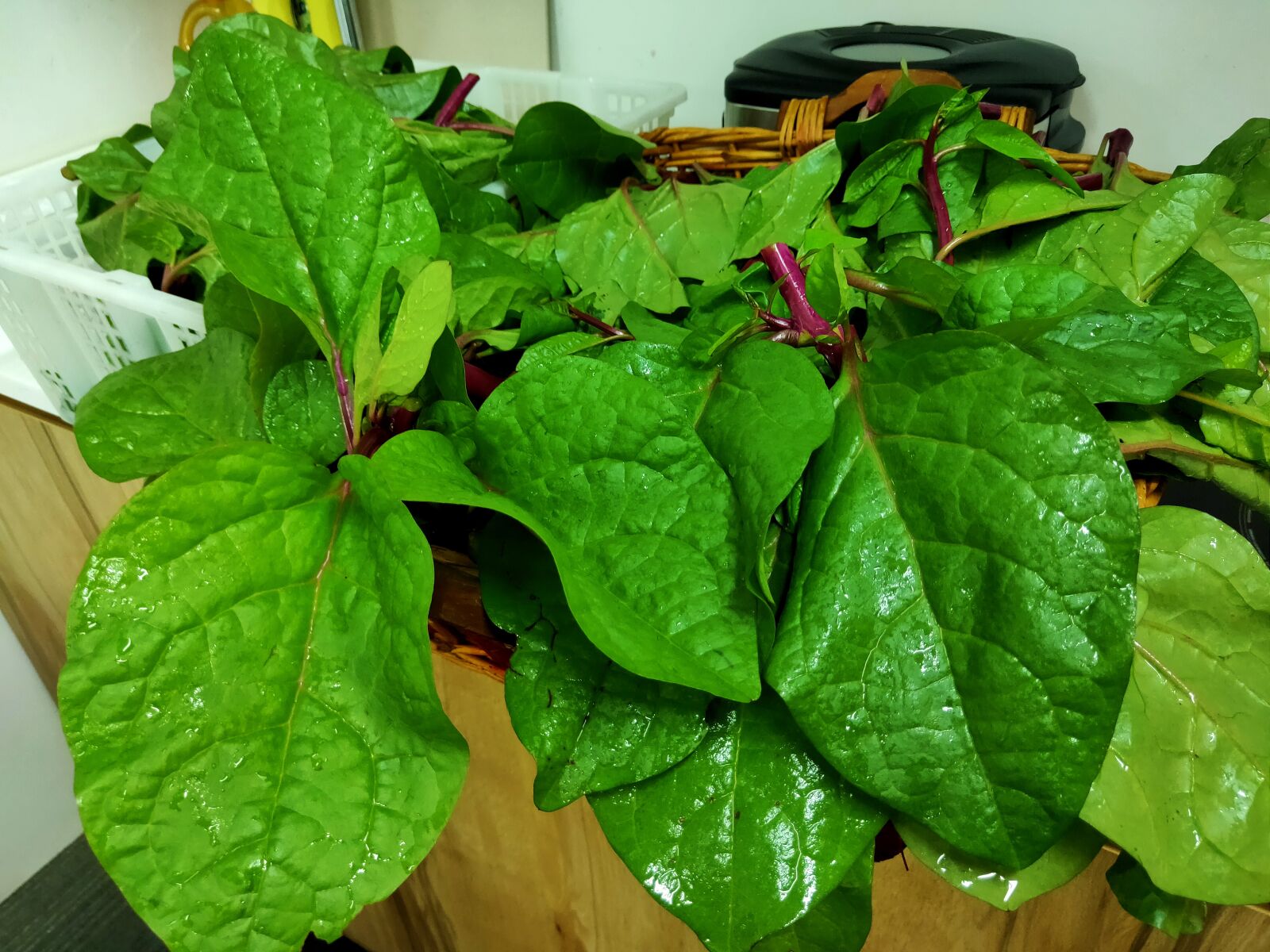 Realme 3 PRO sample photo. Spinach, vegetable, plant photography