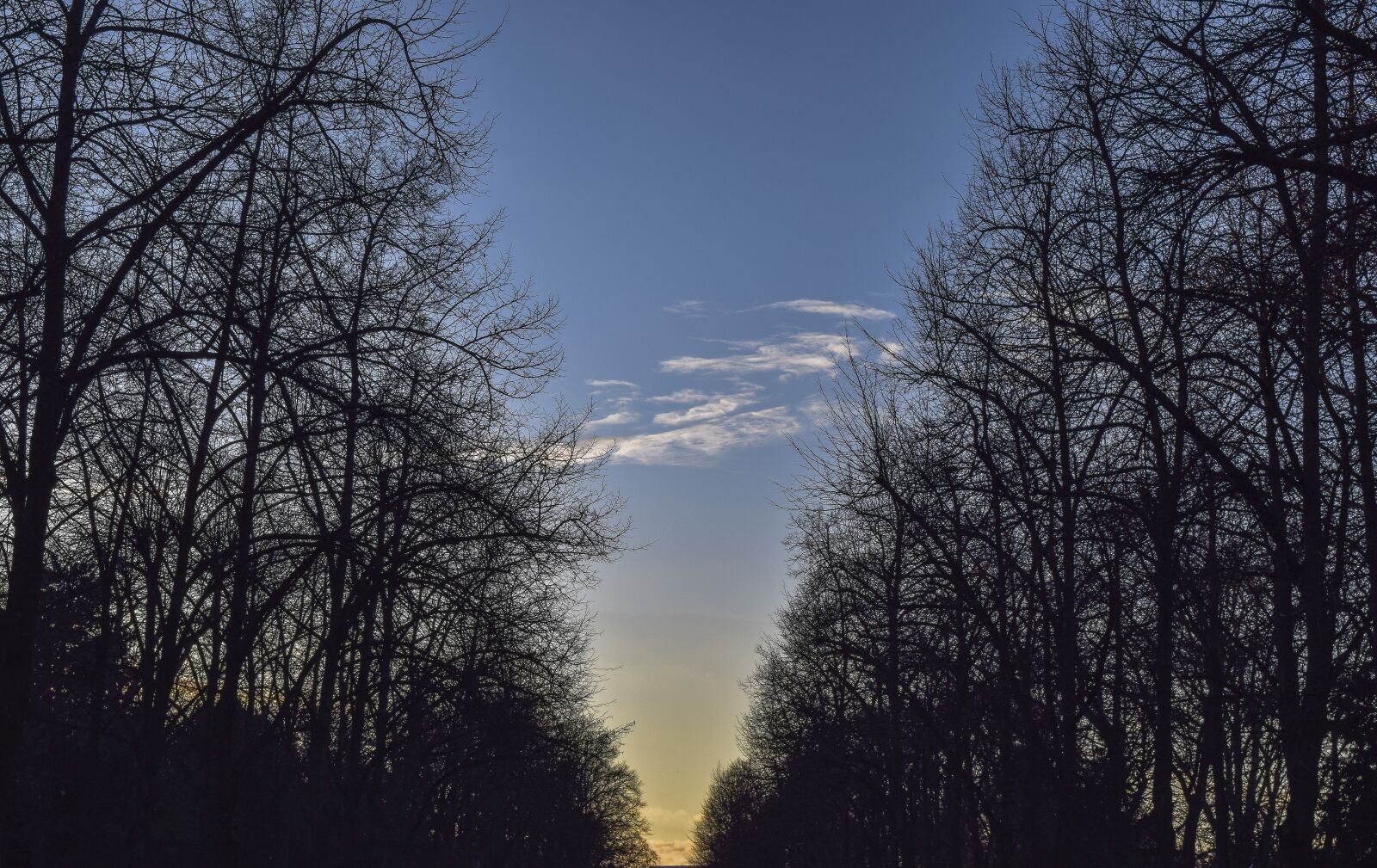 Nikon D3300 sample photo. Forest, landscape, nature photography