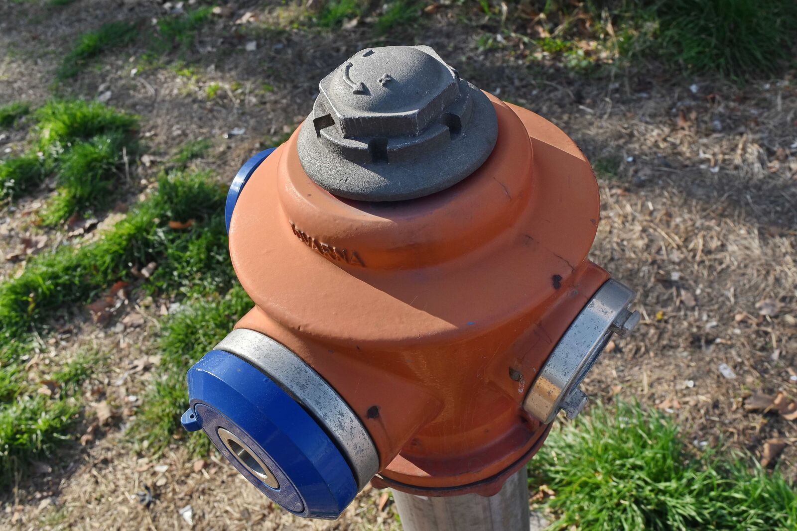 Nikon D5500 sample photo. Alloy, cast iron, detail photography