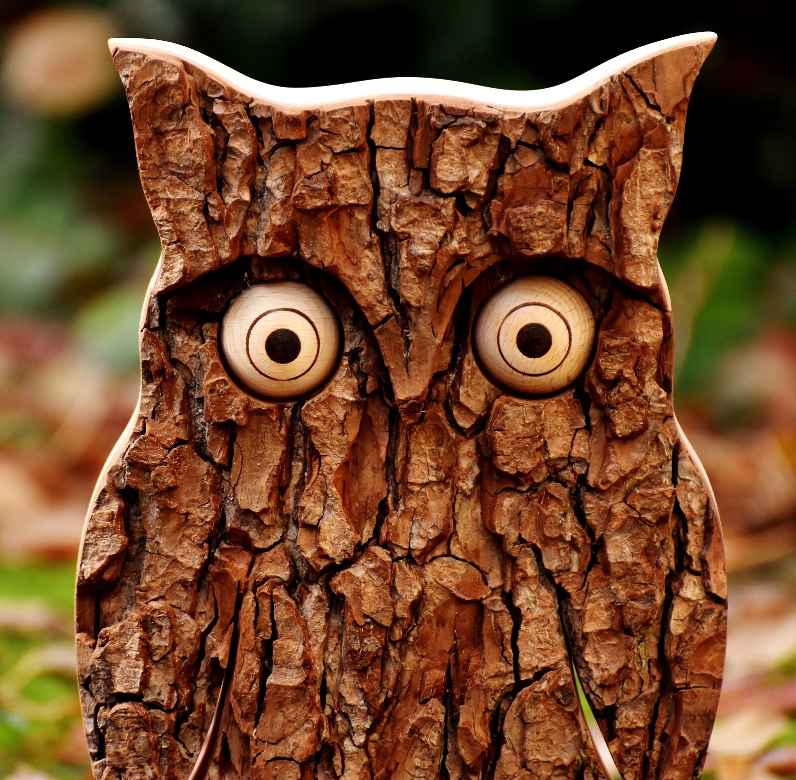 Nikon D7200 sample photo. Owl, tree bark, animal photography