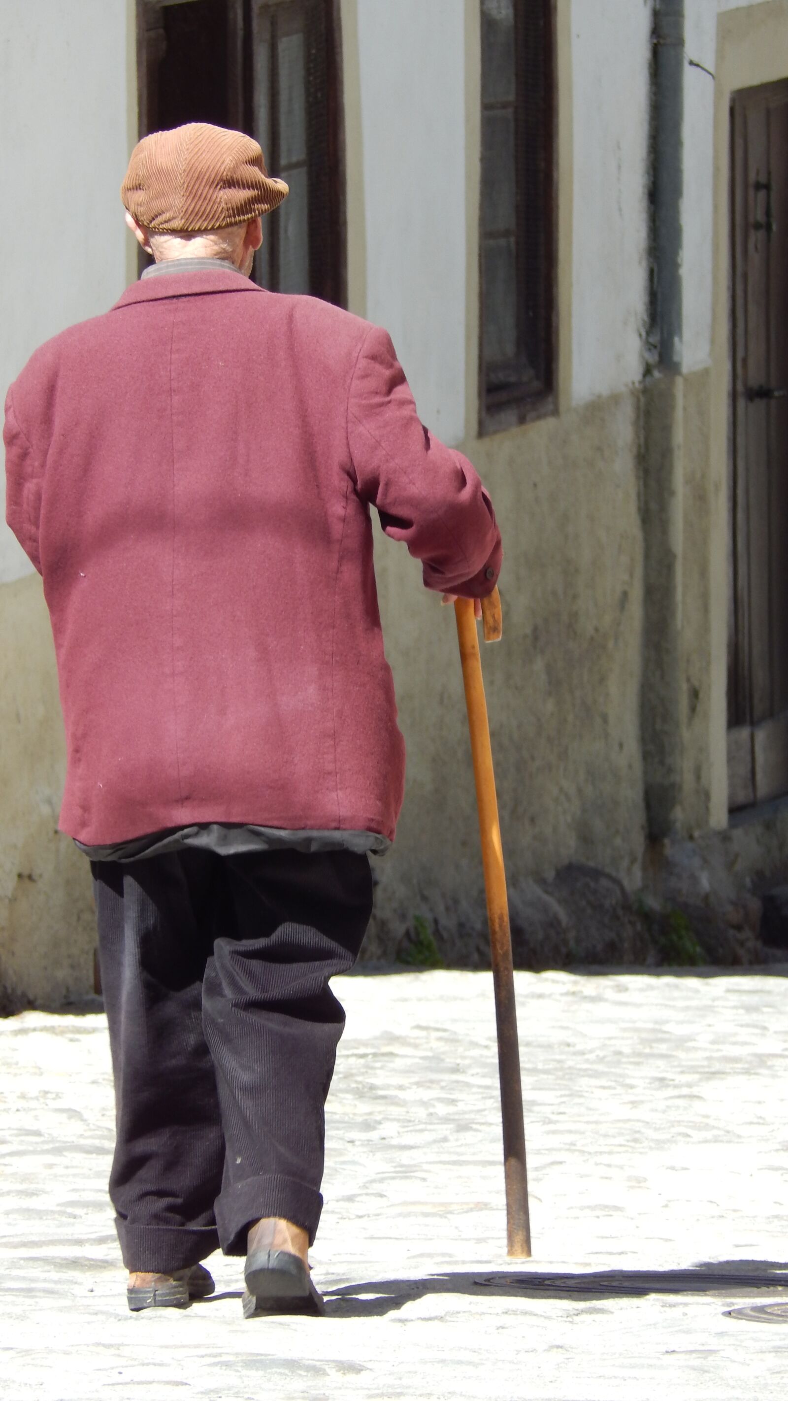 Nikon Coolpix L820 sample photo. Elder, calendar, salamanca photography