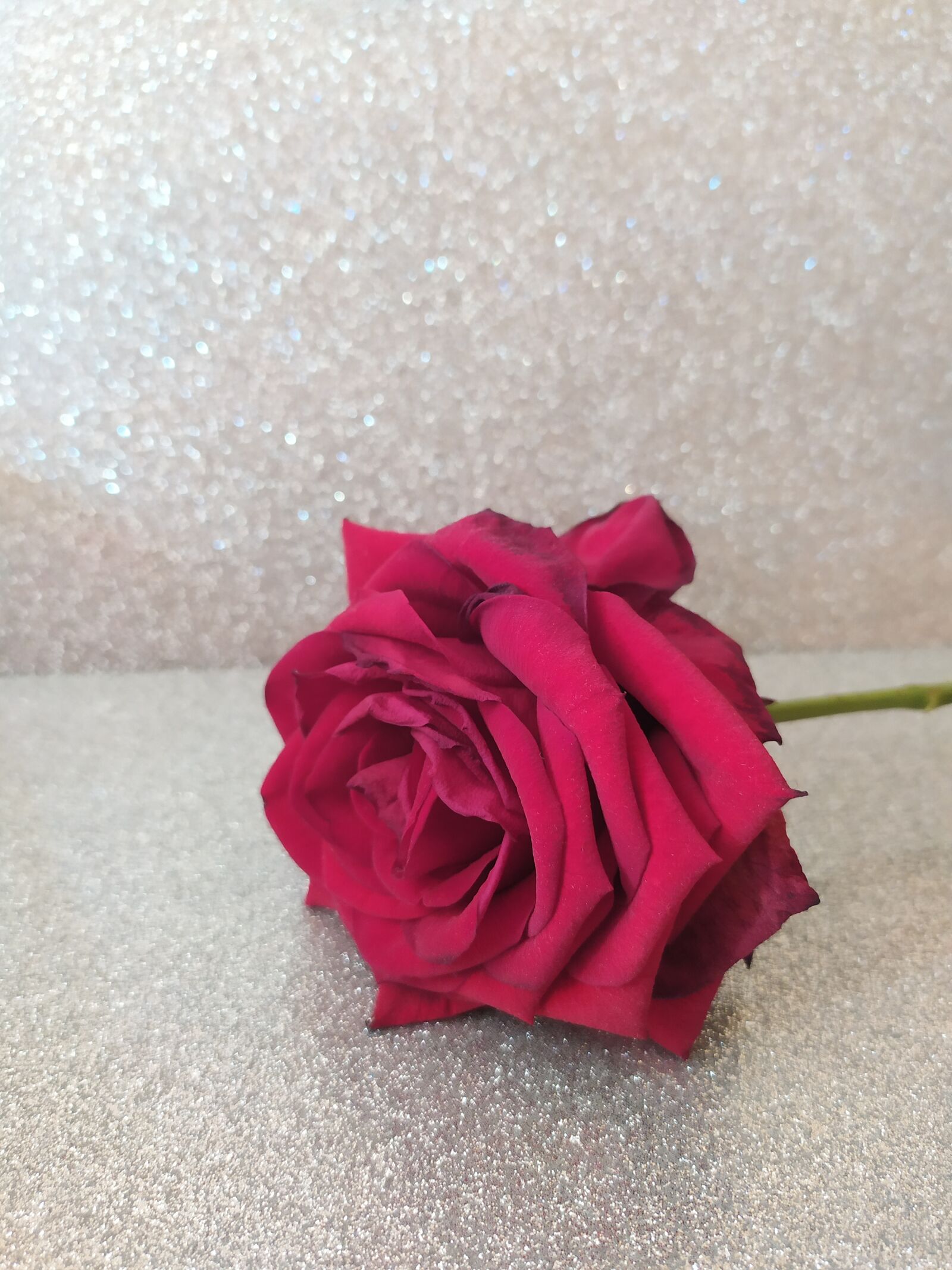 Xiaomi Redmi Note 7 sample photo. Gift, flower, roses photography
