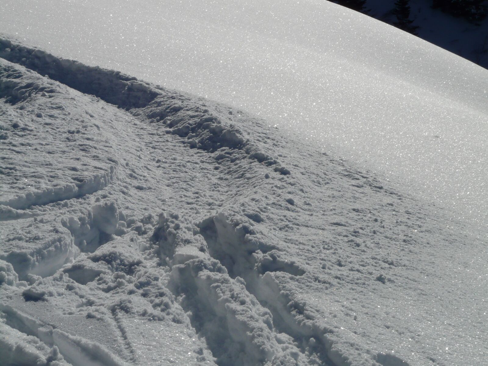 Panasonic DMC-FZ18 sample photo. Traces, trail, snow photography