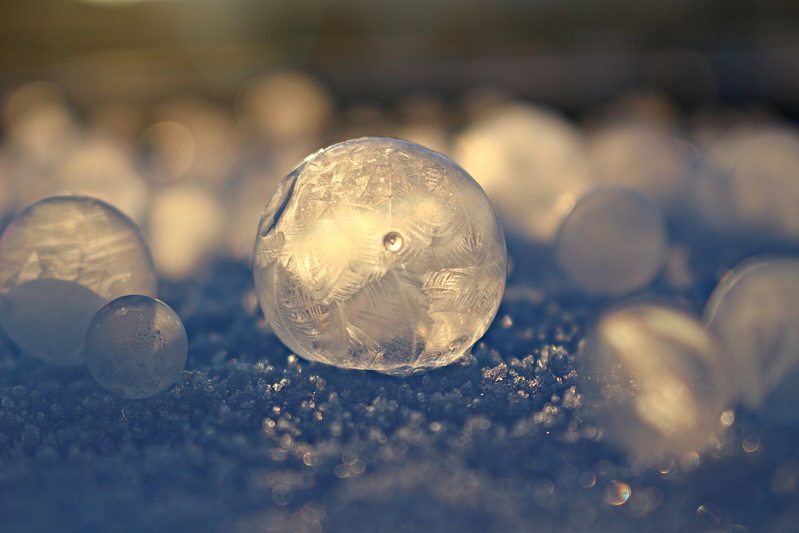 Canon EOS 100D (EOS Rebel SL1 / EOS Kiss X7) sample photo. Eiskristalle, soap bubble, frost photography