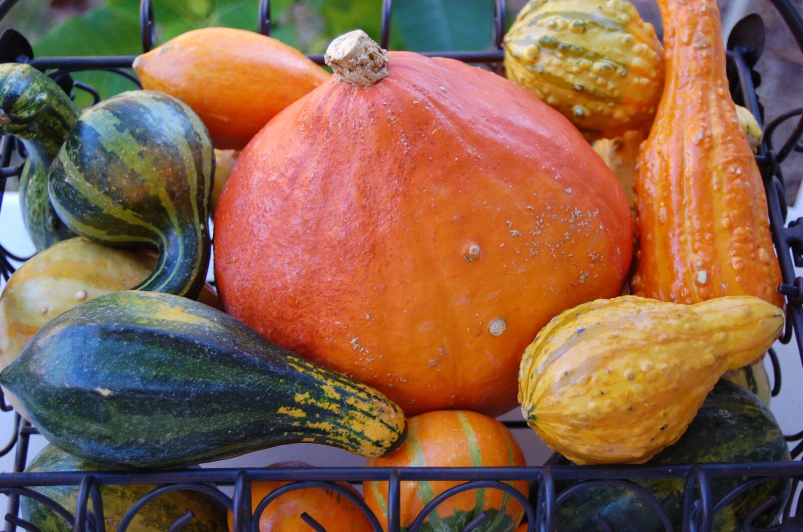 Nikon D40 sample photo. Vegetables, harvest, fall photography