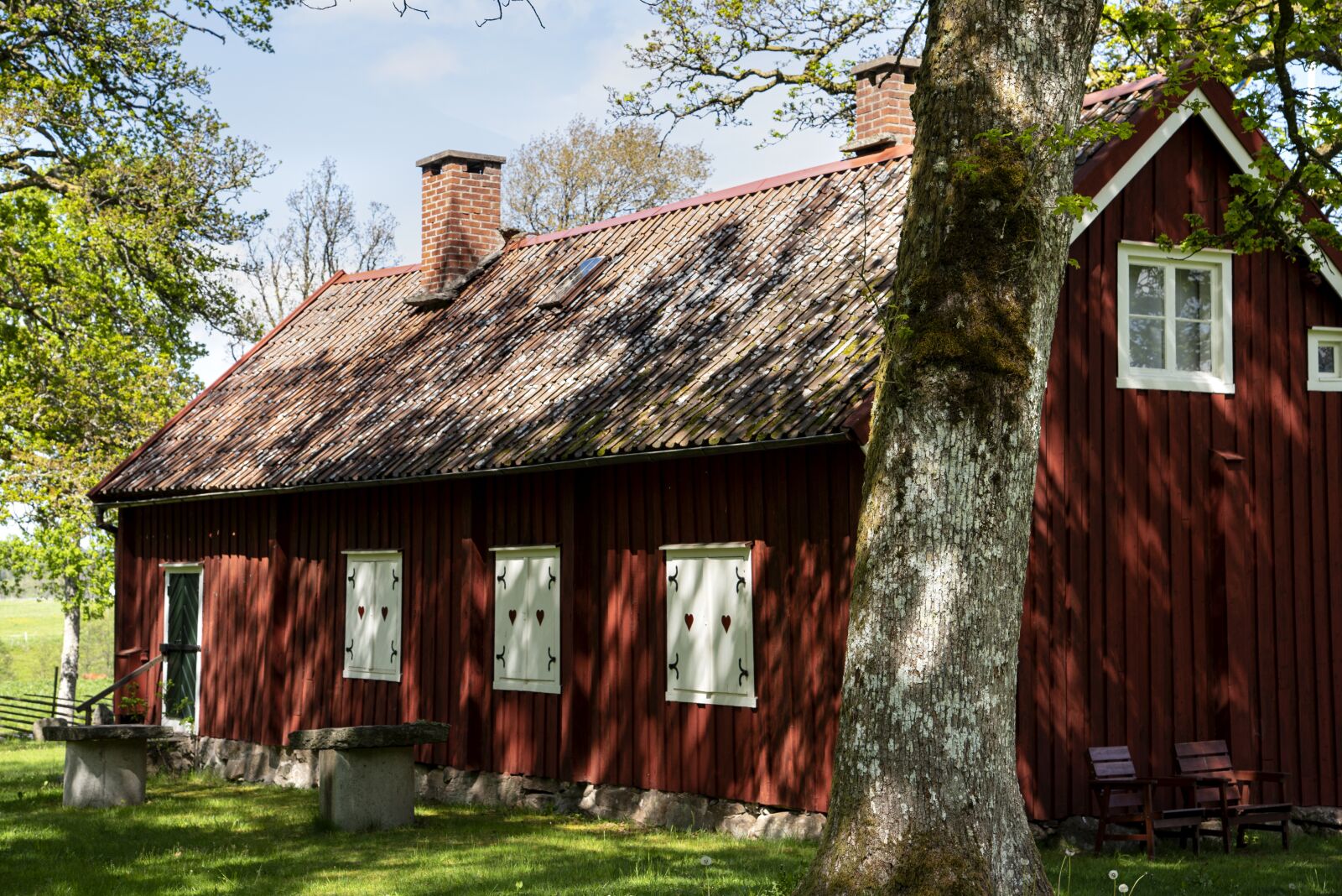 Nikon D750 sample photo. Sweden, nature, outdoor photography