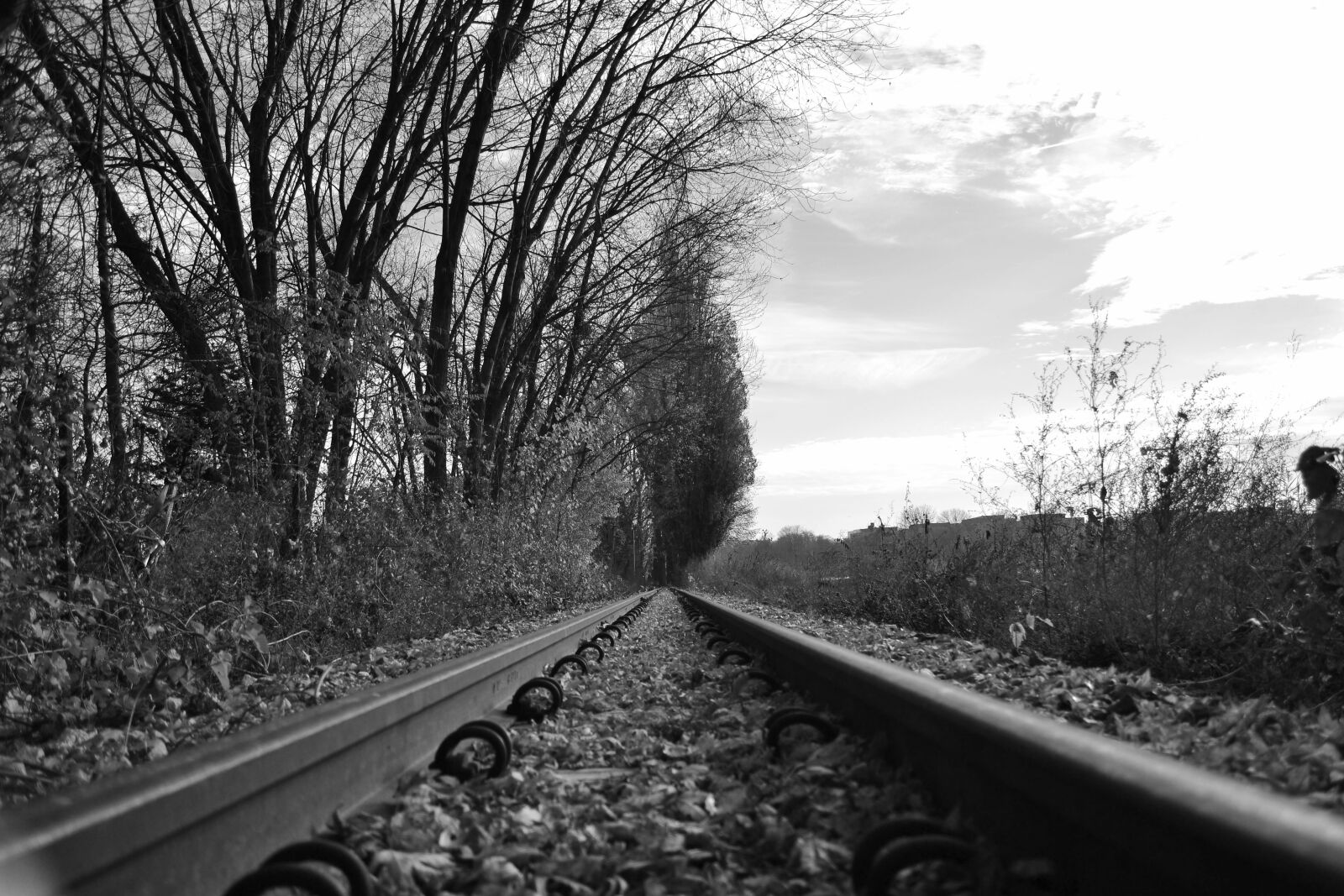 Nikon D3100 sample photo. Tor, narrow-gauge track, train photography