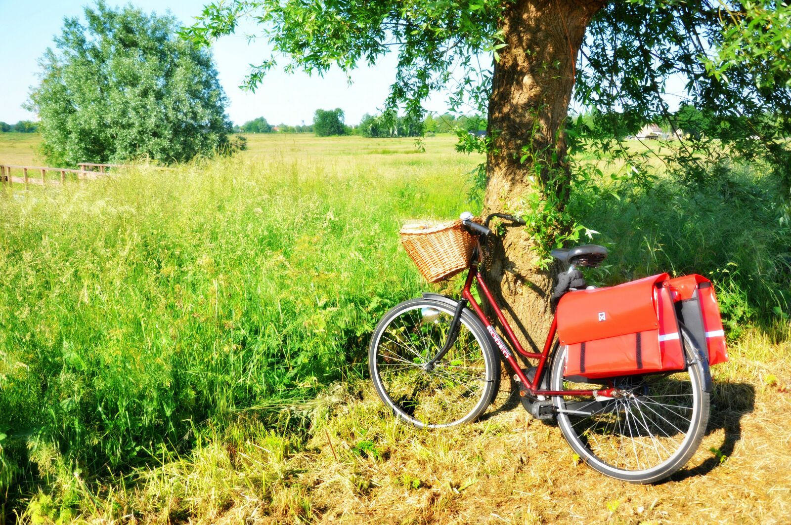 Nikon D90 sample photo. Bicycle, ladies bicycle, transport photography