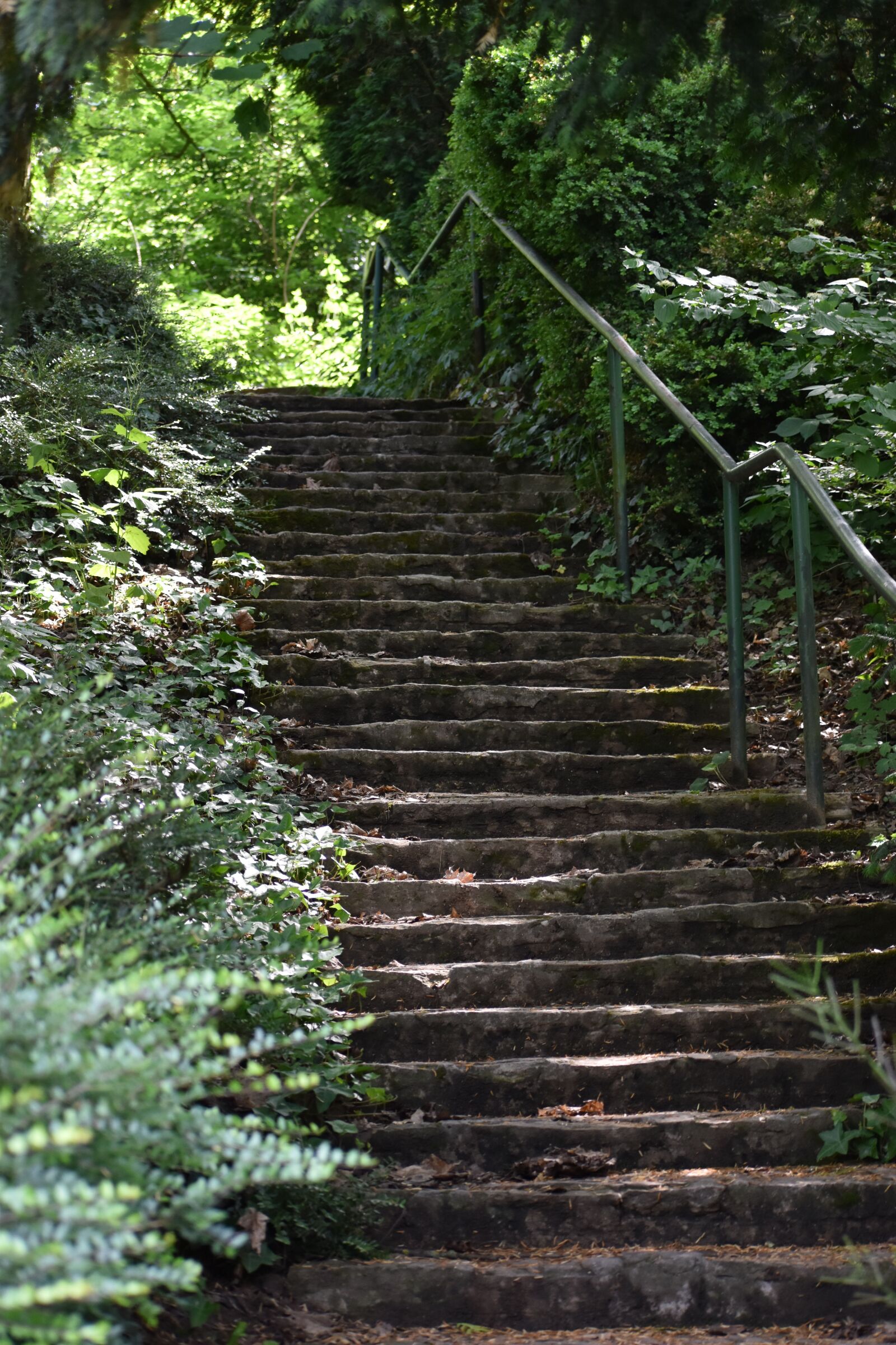 Nikon D3500 sample photo. Stairs, garden, stone photography