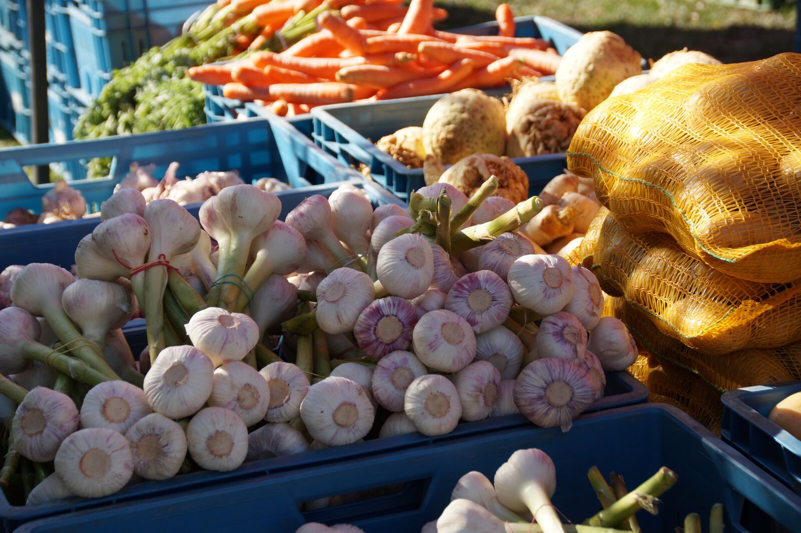 Sony SLT-A58 sample photo. Market, vegetables, fresh photography