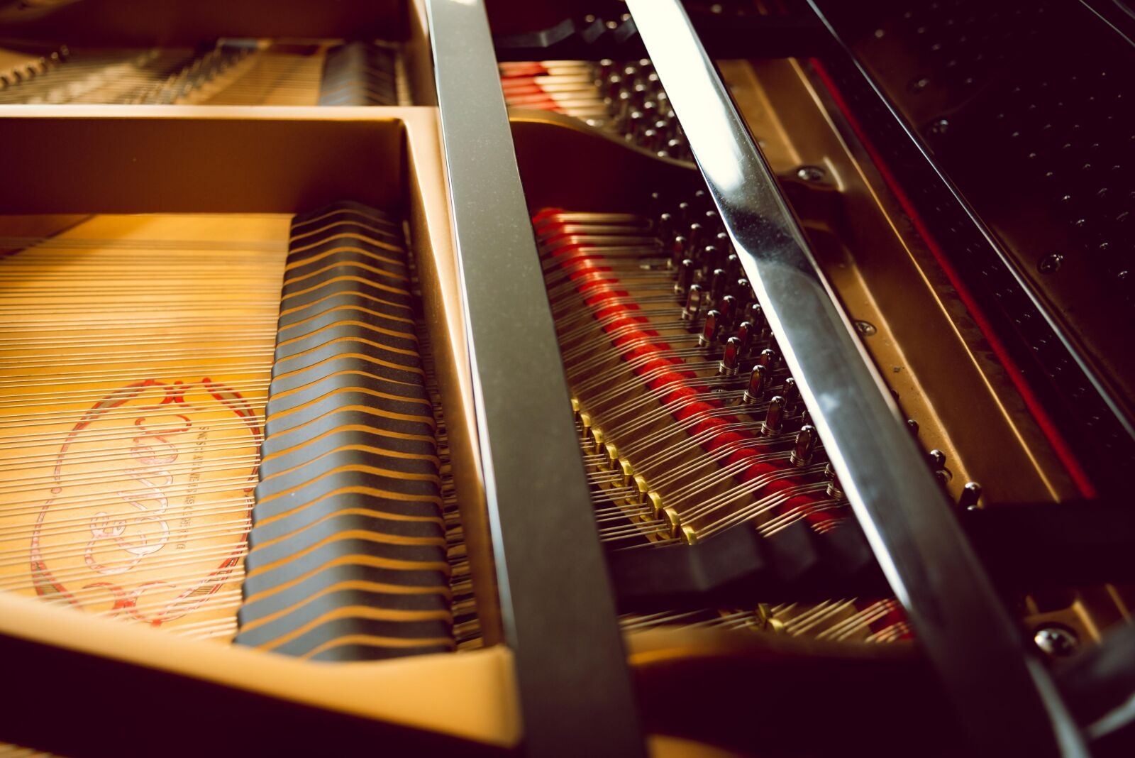 Nikon D750 sample photo. Piano, strings, music photography