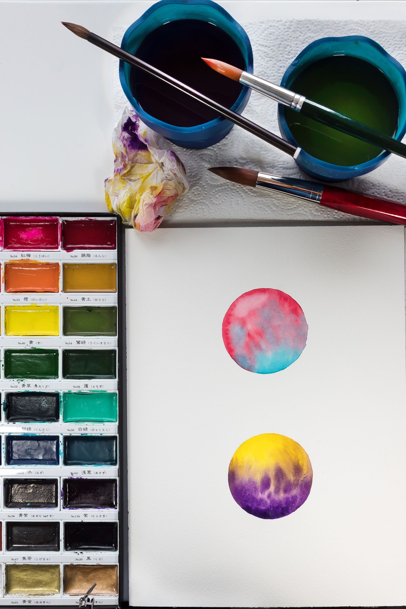 Canon EOS 1300D (EOS Rebel T6 / EOS Kiss X80) sample photo. Color circle, watercolour, coral photography