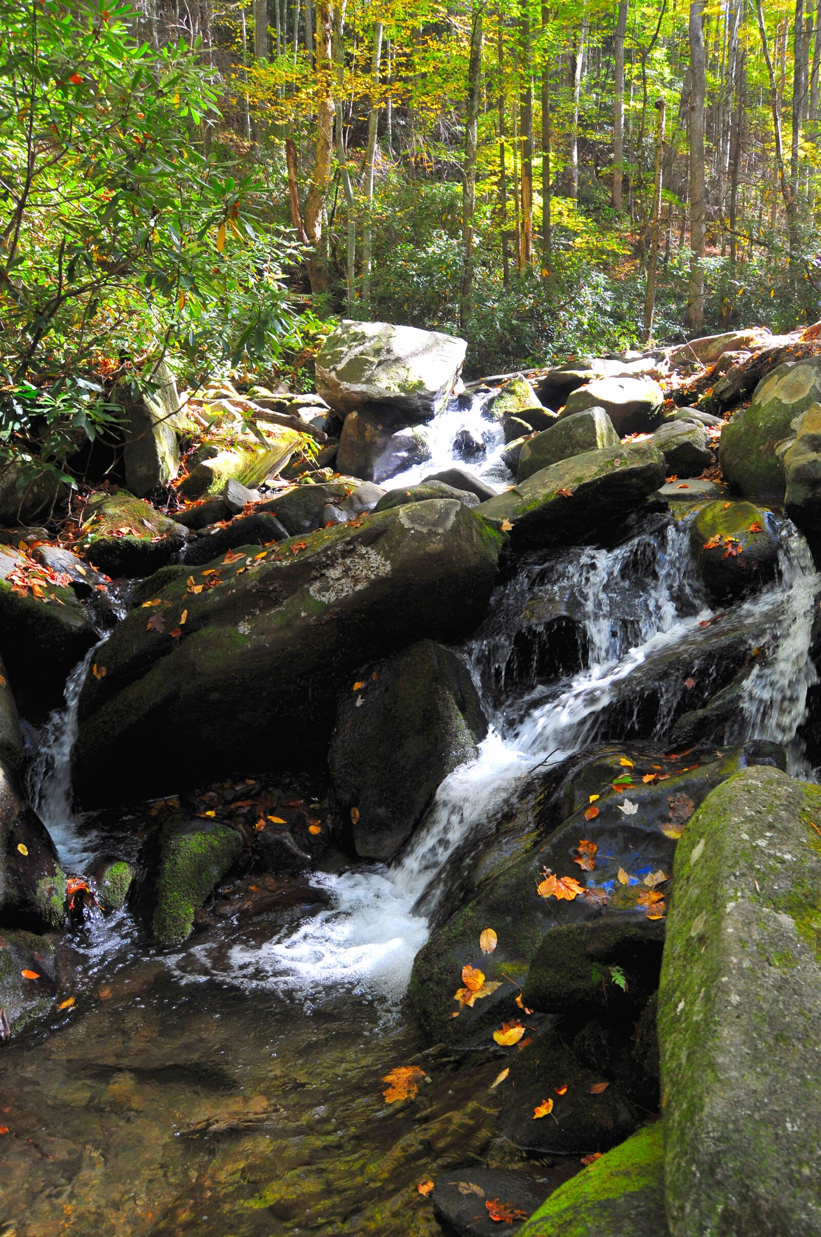 Nikon D300 sample photo. Waterfall, stream, river photography