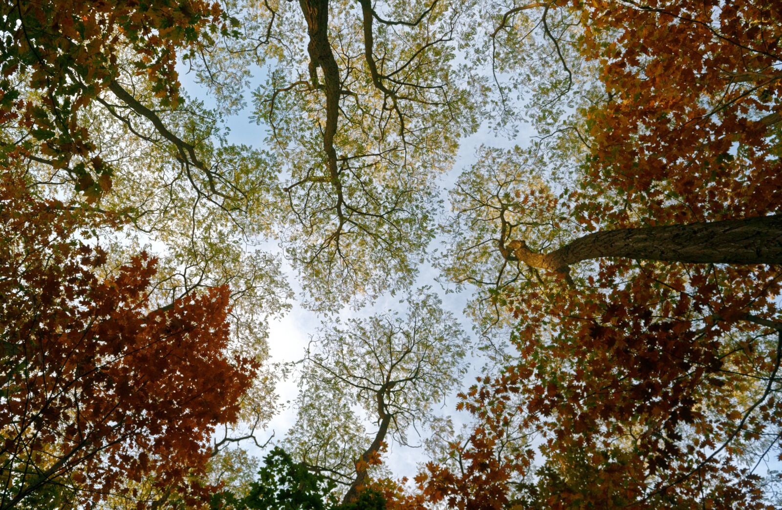 Nikon D3100 sample photo. Landscape, autumn, nature photography
