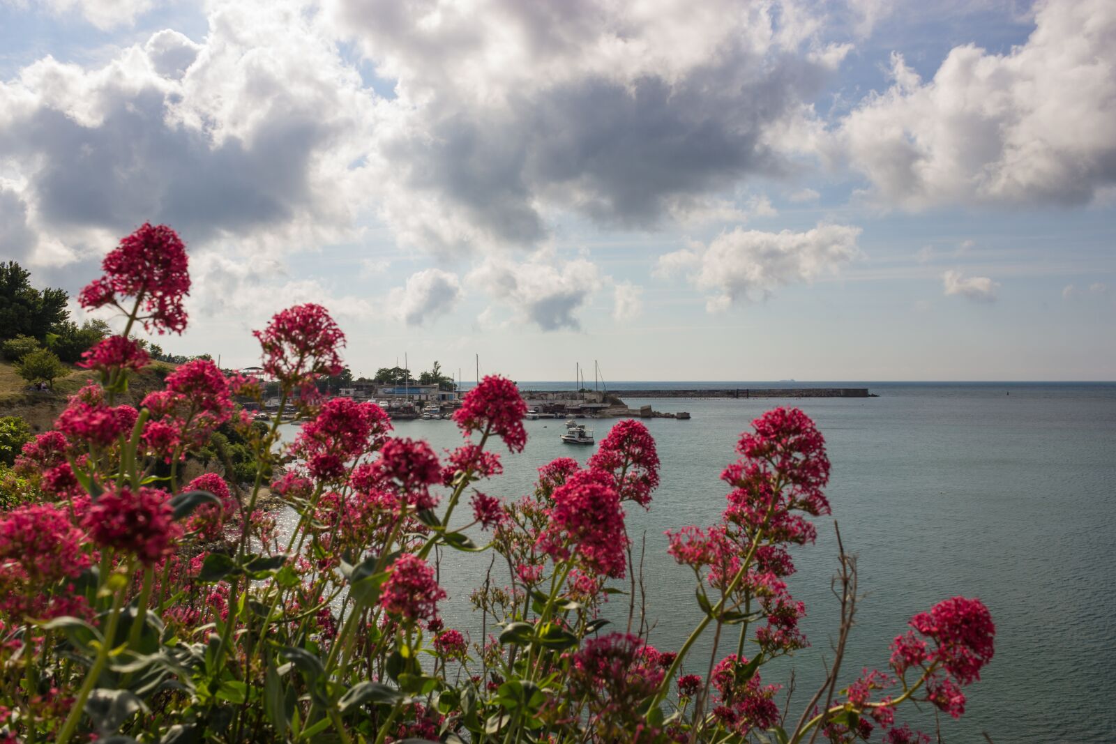 Canon EOS 600D (Rebel EOS T3i / EOS Kiss X5) sample photo. Russia, crimea, sevastopol photography