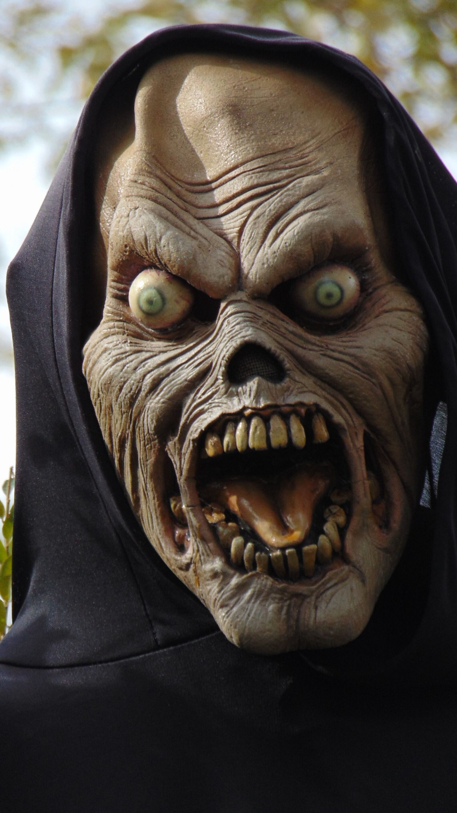 Sony Cyber-shot DSC-H300 sample photo. Halloween, halloween mask, mask photography
