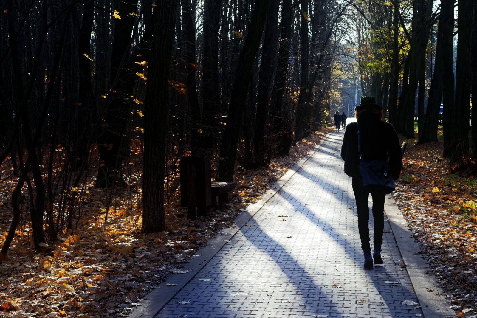 Nikon D5100 sample photo. Silhouette, person, woman photography
