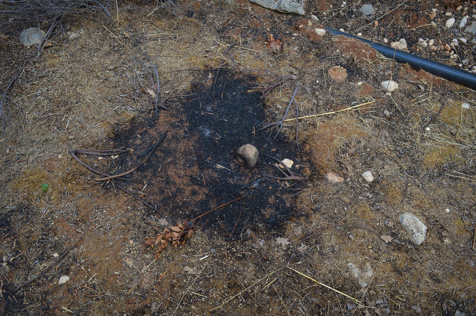 Nikon D3200 sample photo. Fire, burned, earth photography