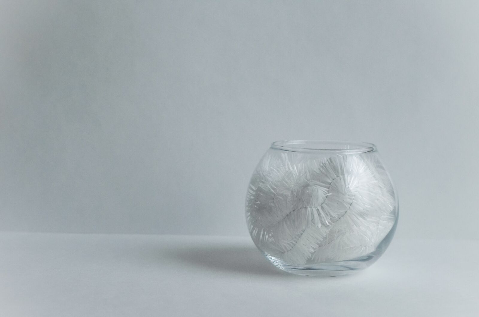 Nikon D5100 sample photo. Minimalism, vase, white photography