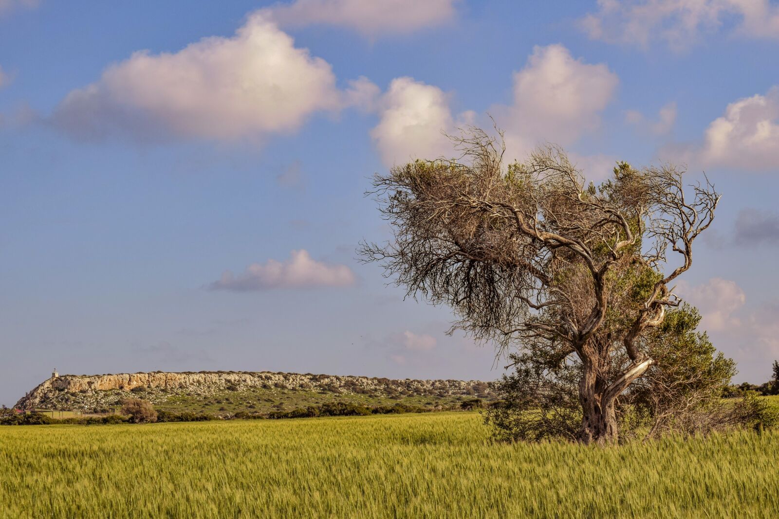 Nikon D3300 sample photo. Nature, field, landscape photography
