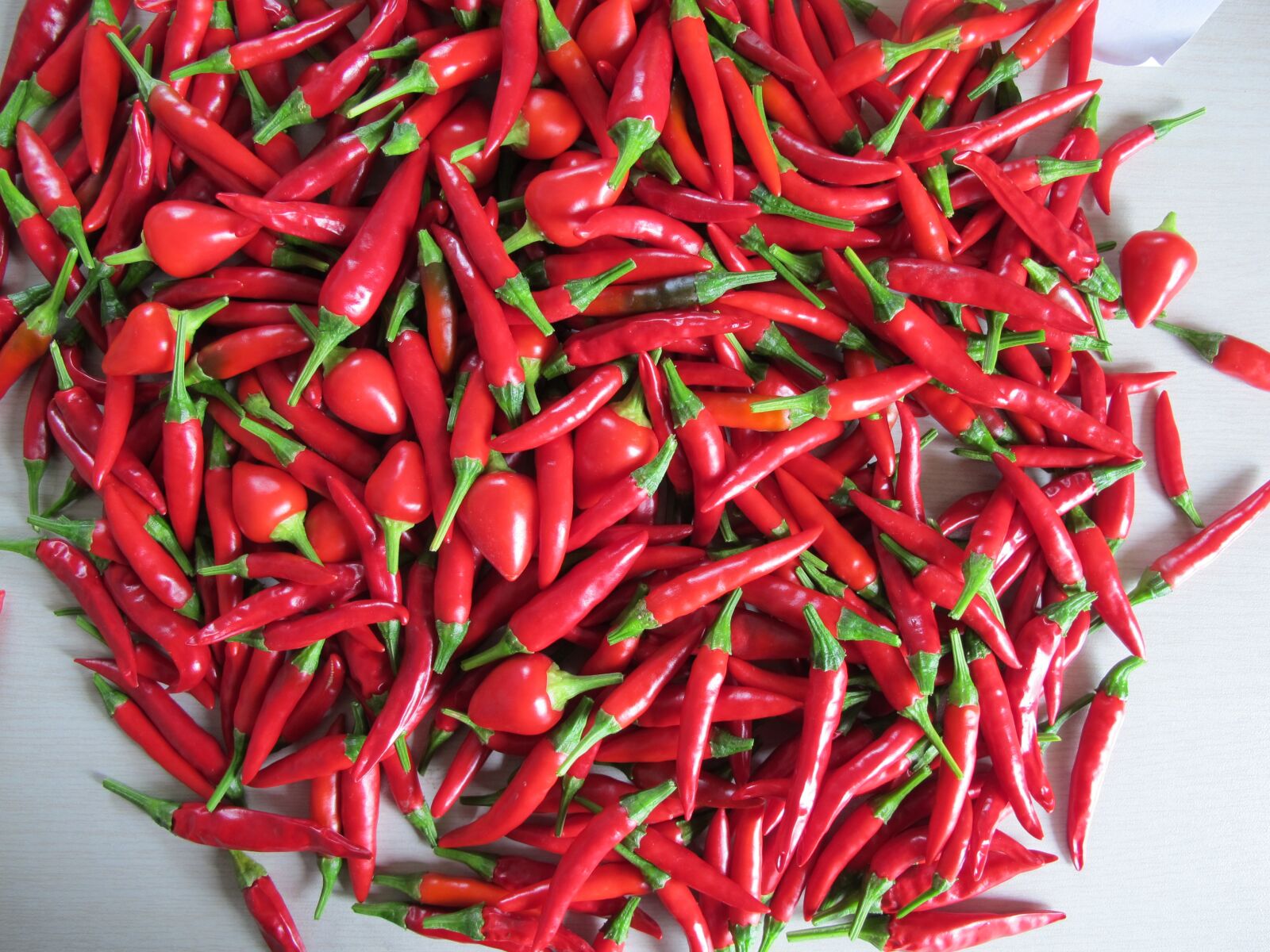 Canon PowerShot G11 sample photo. Red pepper, food, spices photography