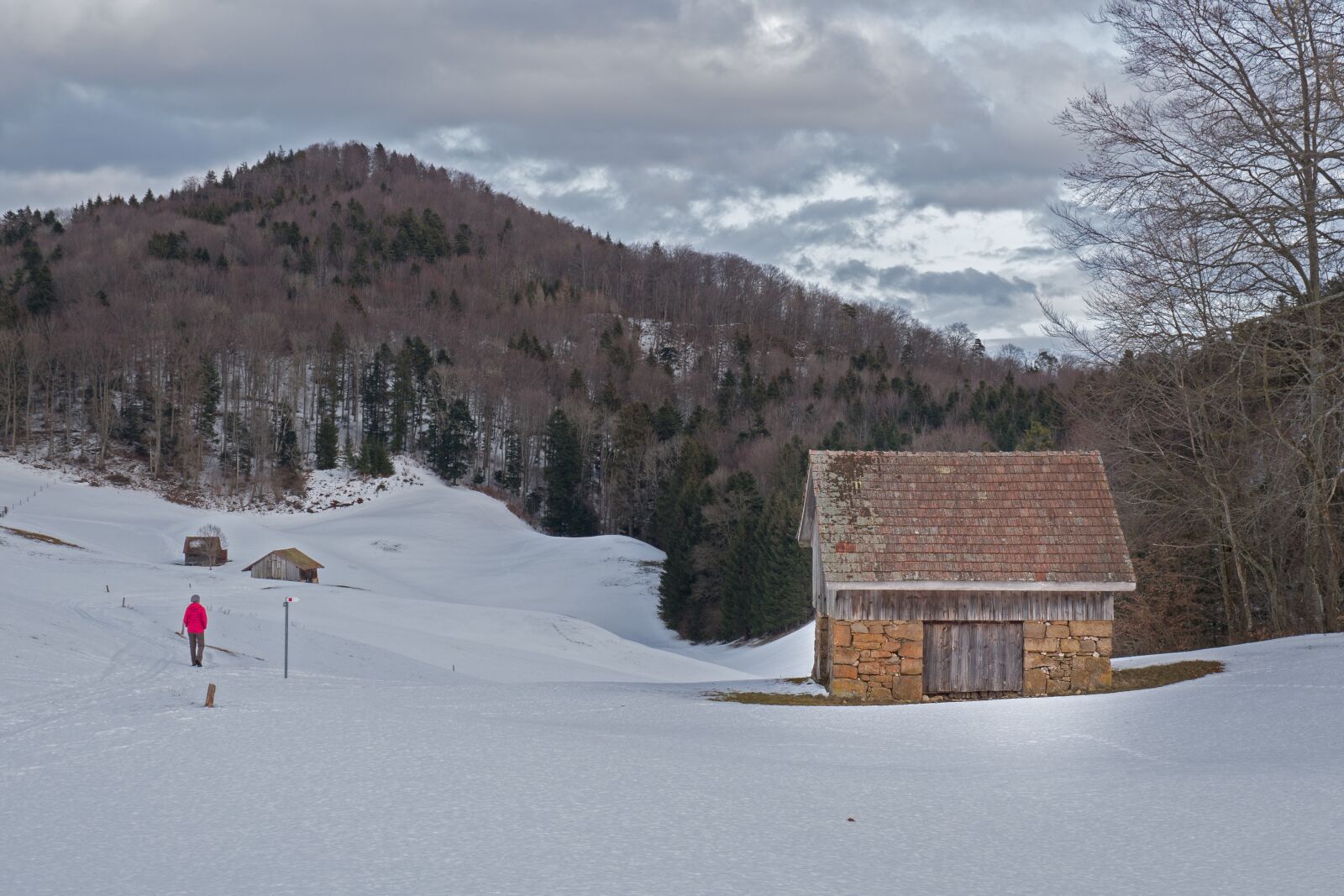 Panasonic Lumix DC-G9 sample photo. Scale, tool shed, hut photography