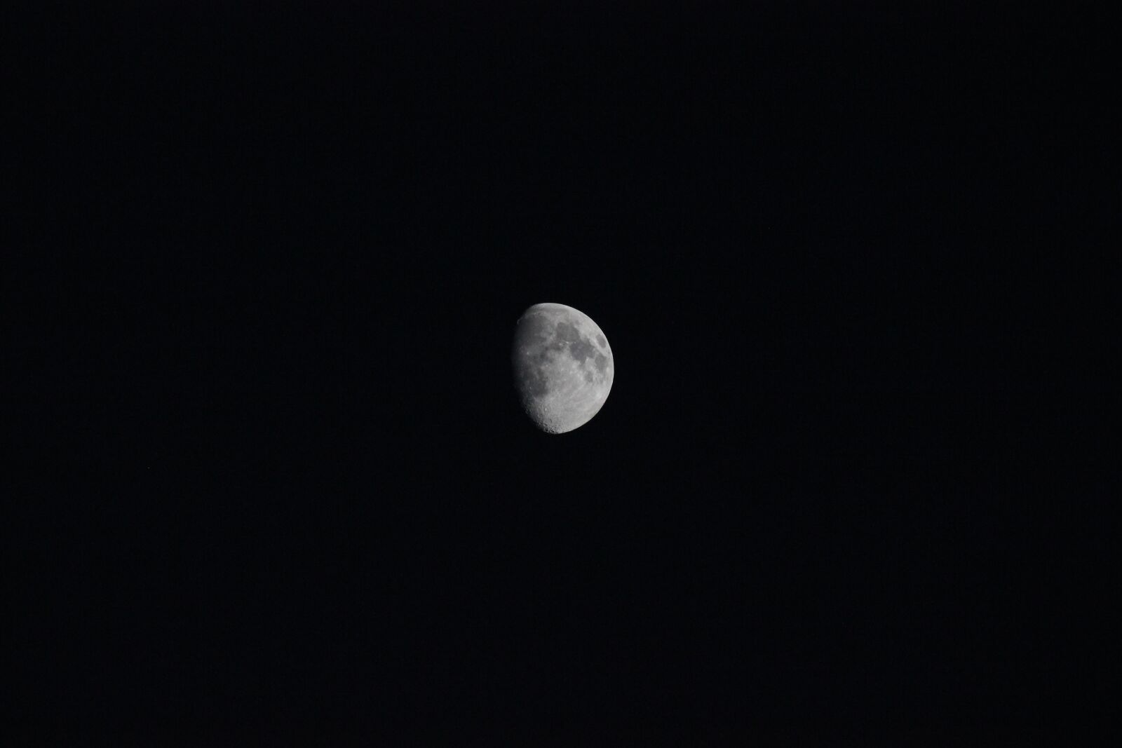 Canon EOS 550D (EOS Rebel T2i / EOS Kiss X4) sample photo. Luna, night, evening photography