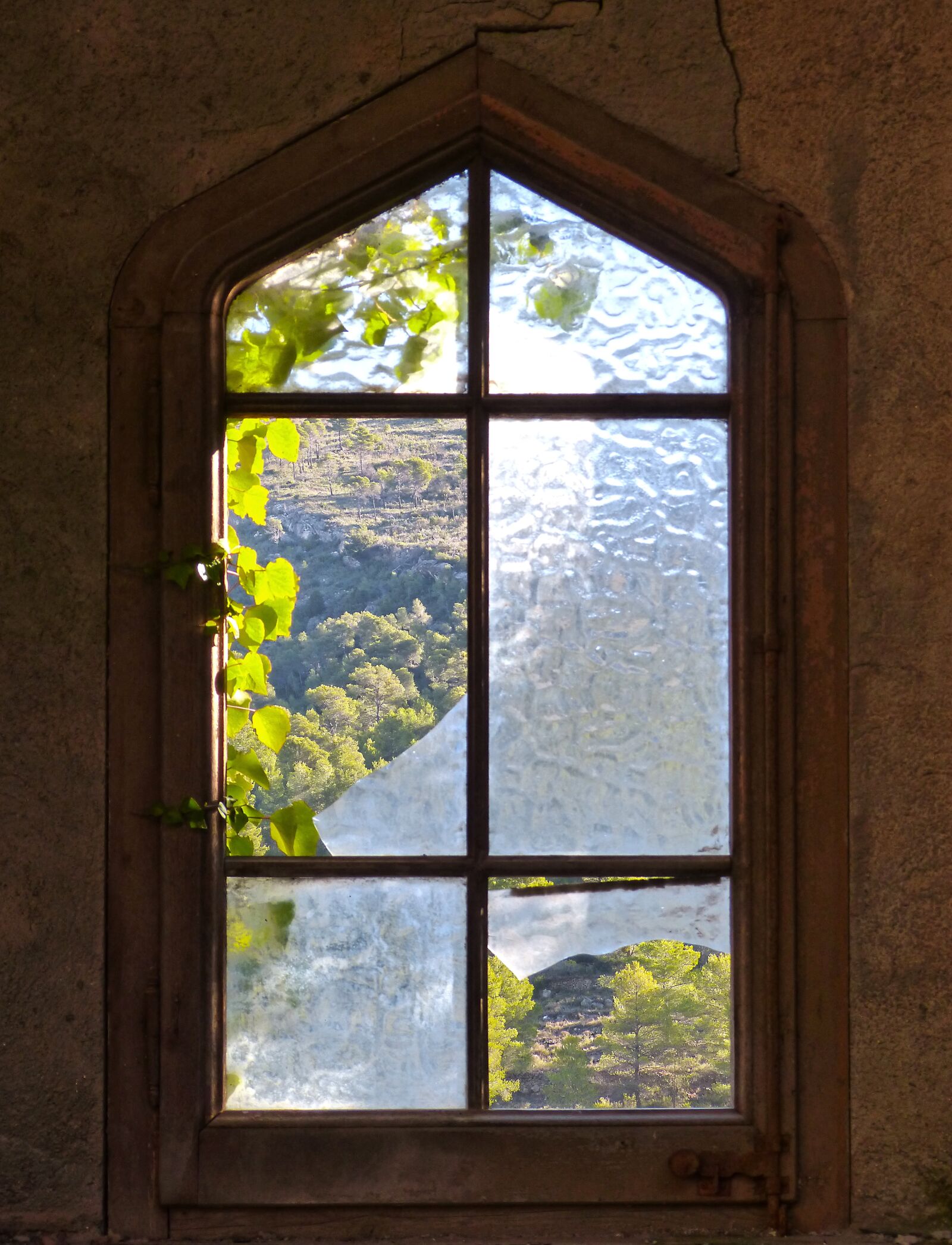 Panasonic DMC-FZ62 sample photo. Window, old, window broken photography