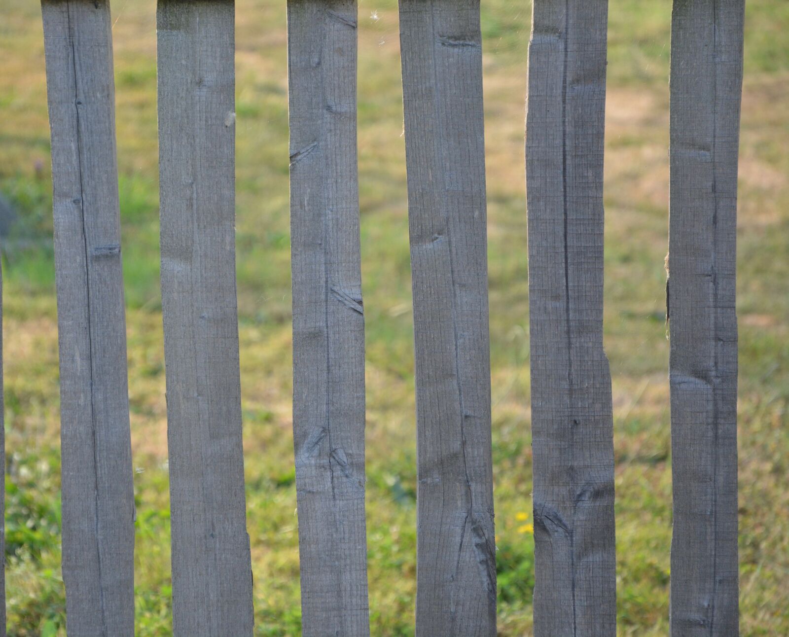 Nikon D5200 sample photo. Wood blade, closing, green photography