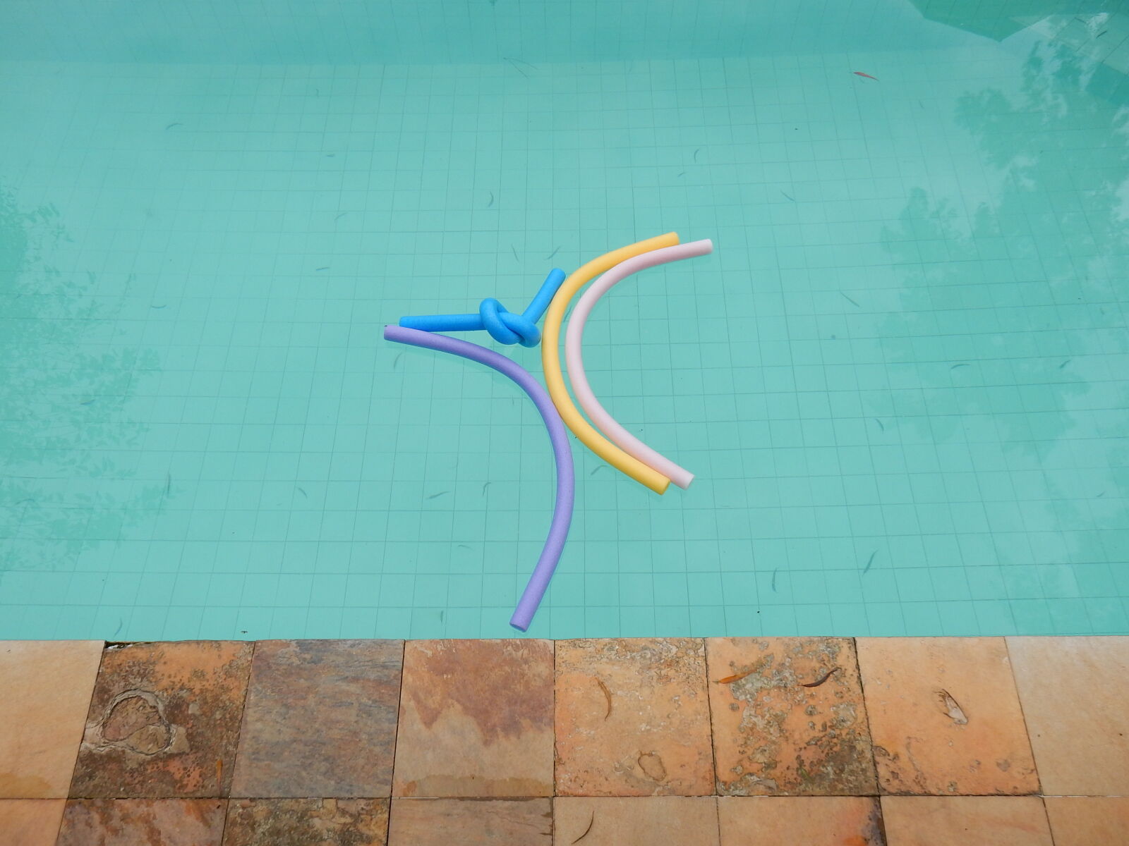 Nikon Coolpix S9900 sample photo. Blue, pool, purple, swimming photography