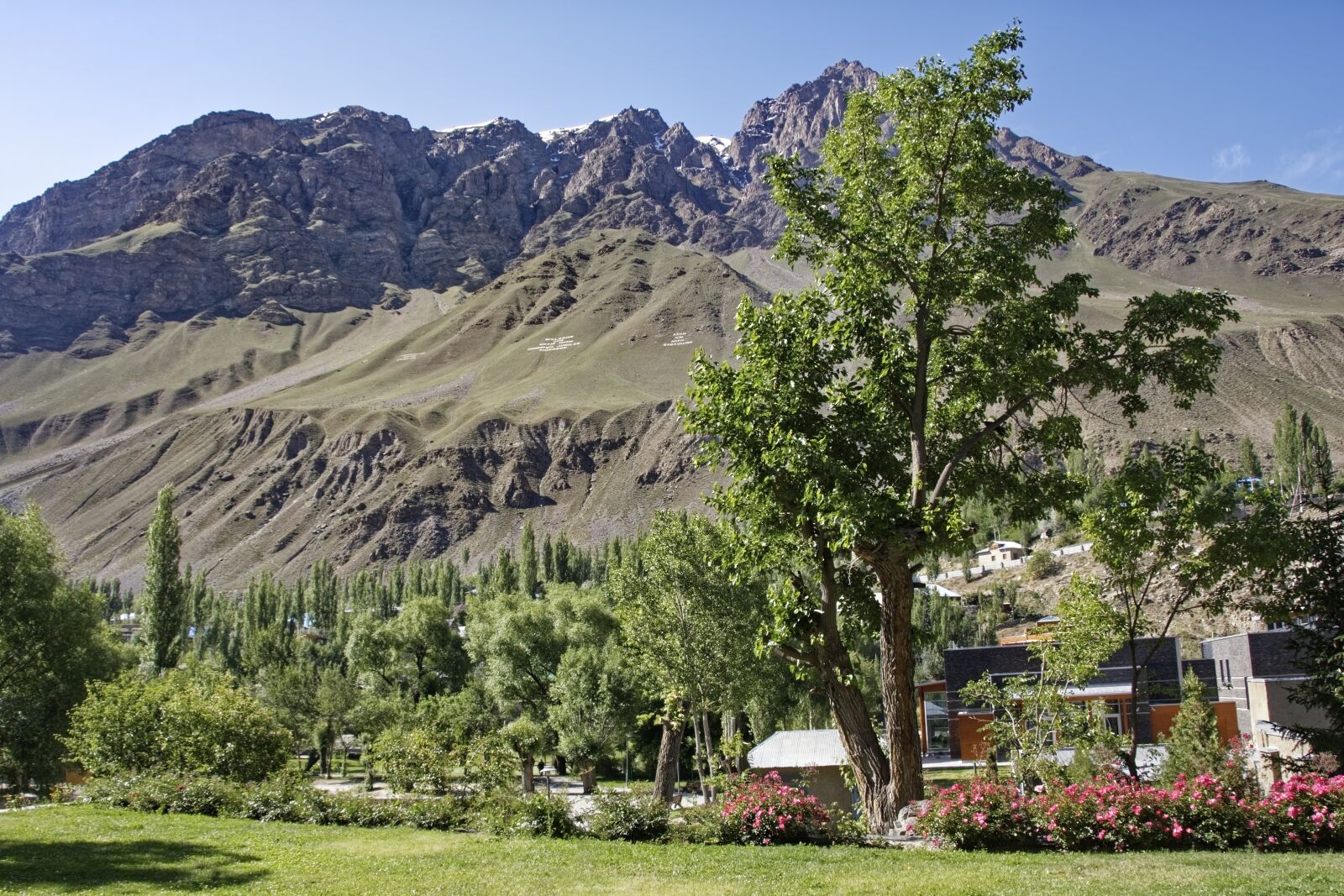 Nikon D500 sample photo. Tajikistan, khorugh, botanical garden photography