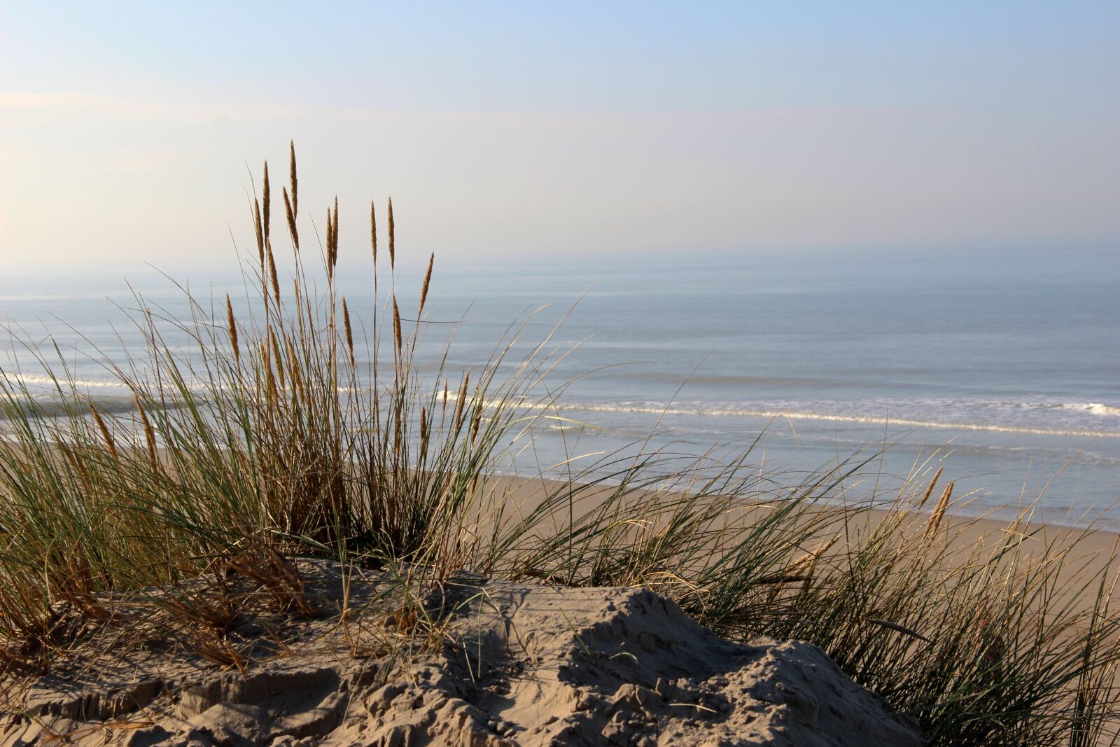 Canon EOS 600D (Rebel EOS T3i / EOS Kiss X5) sample photo. Sea, grass, nature photography
